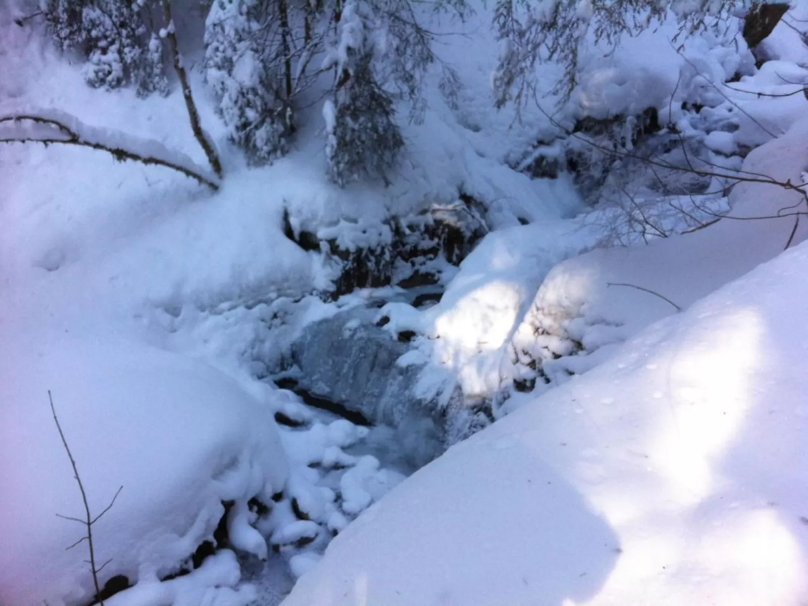 Chalet Birkli-Dehors