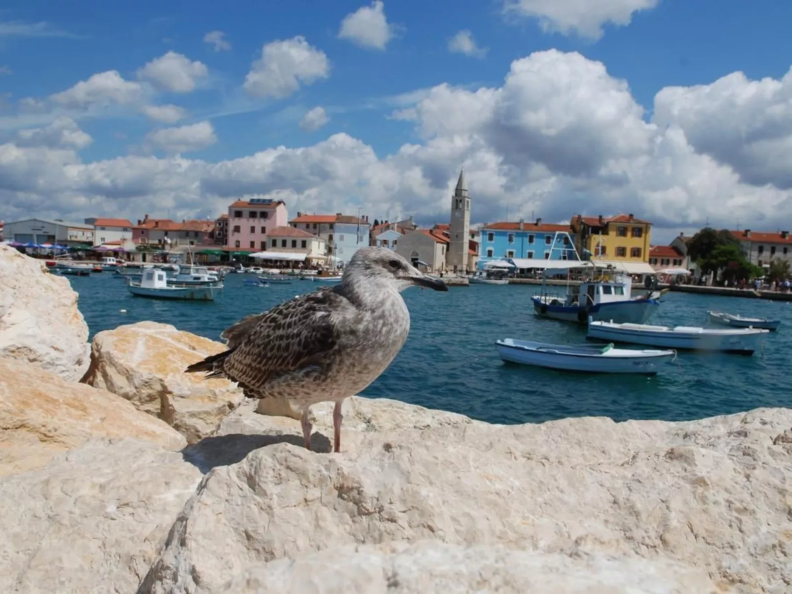 In Stinjan, 600m vom Strand entfernt-Draußen