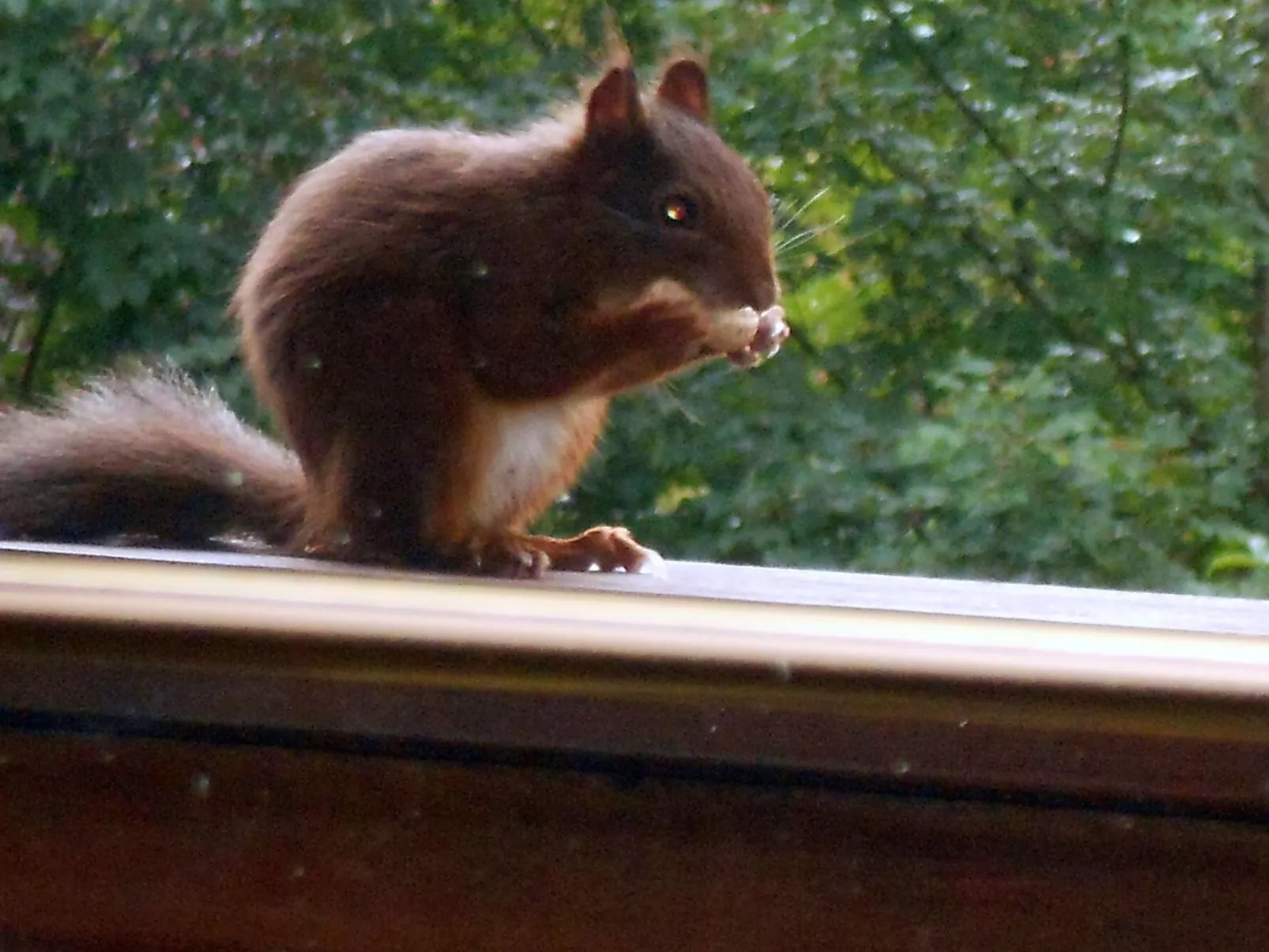 Harz-Haus-Bruns-Image-tags.info