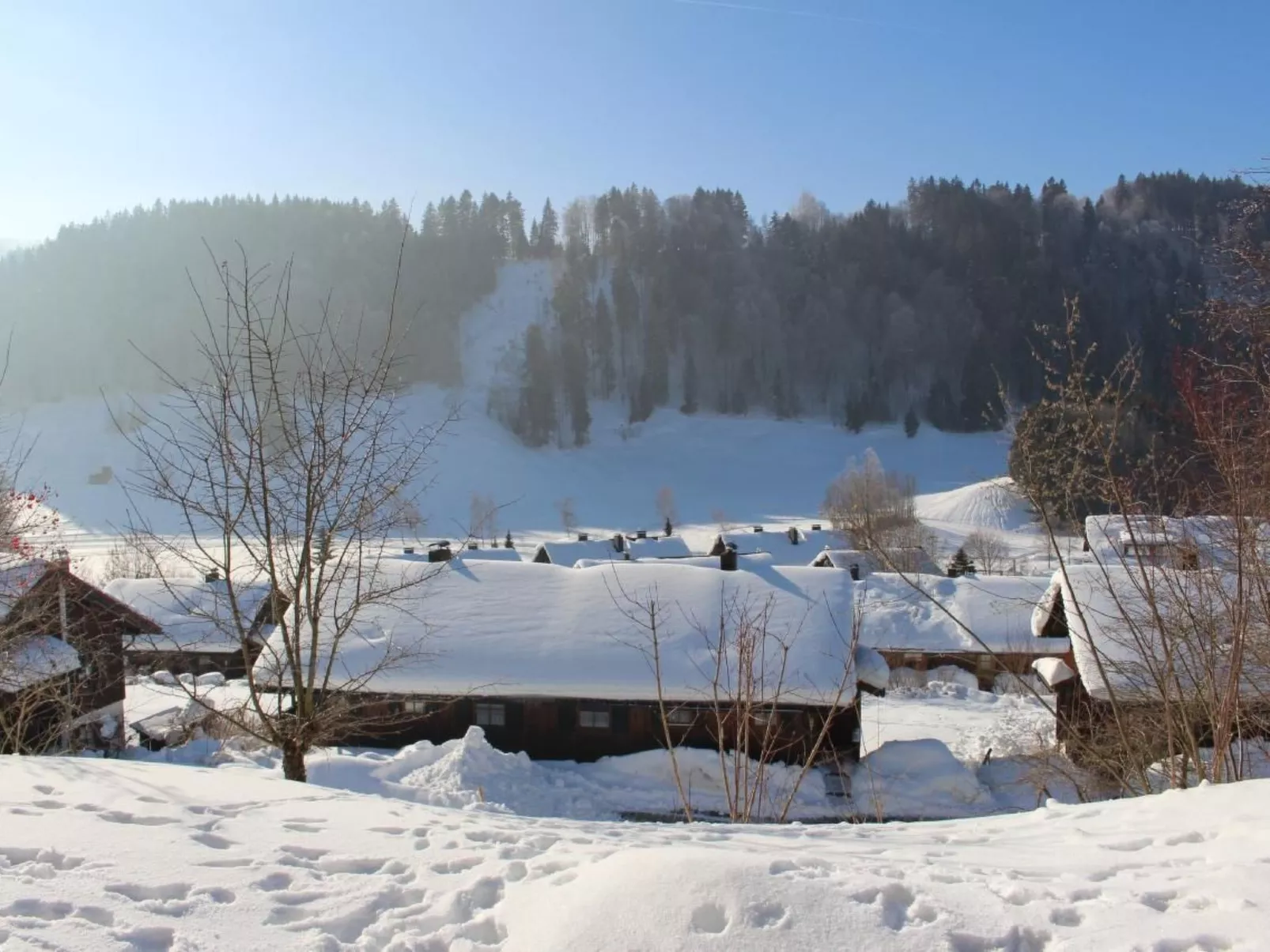 Alpkönigin - Image-tags.info