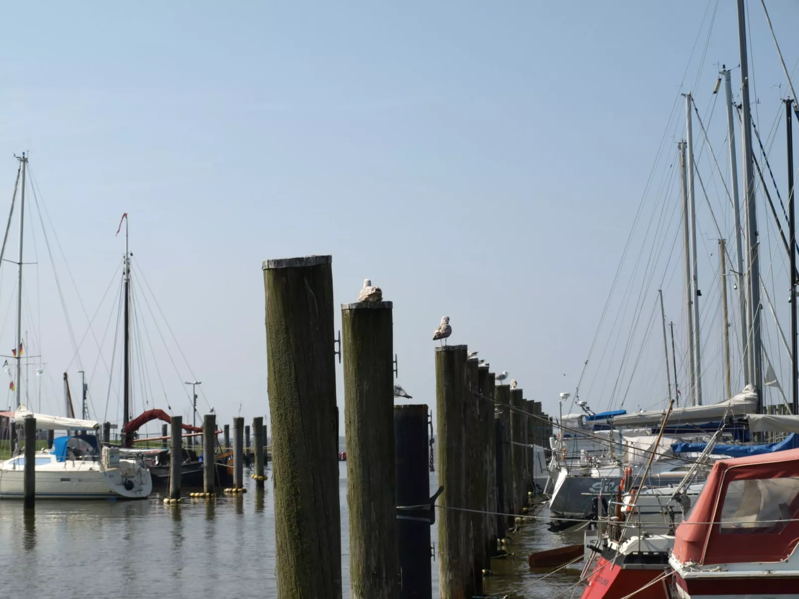 Mit Terrasse, Grill und Garten-Dedans