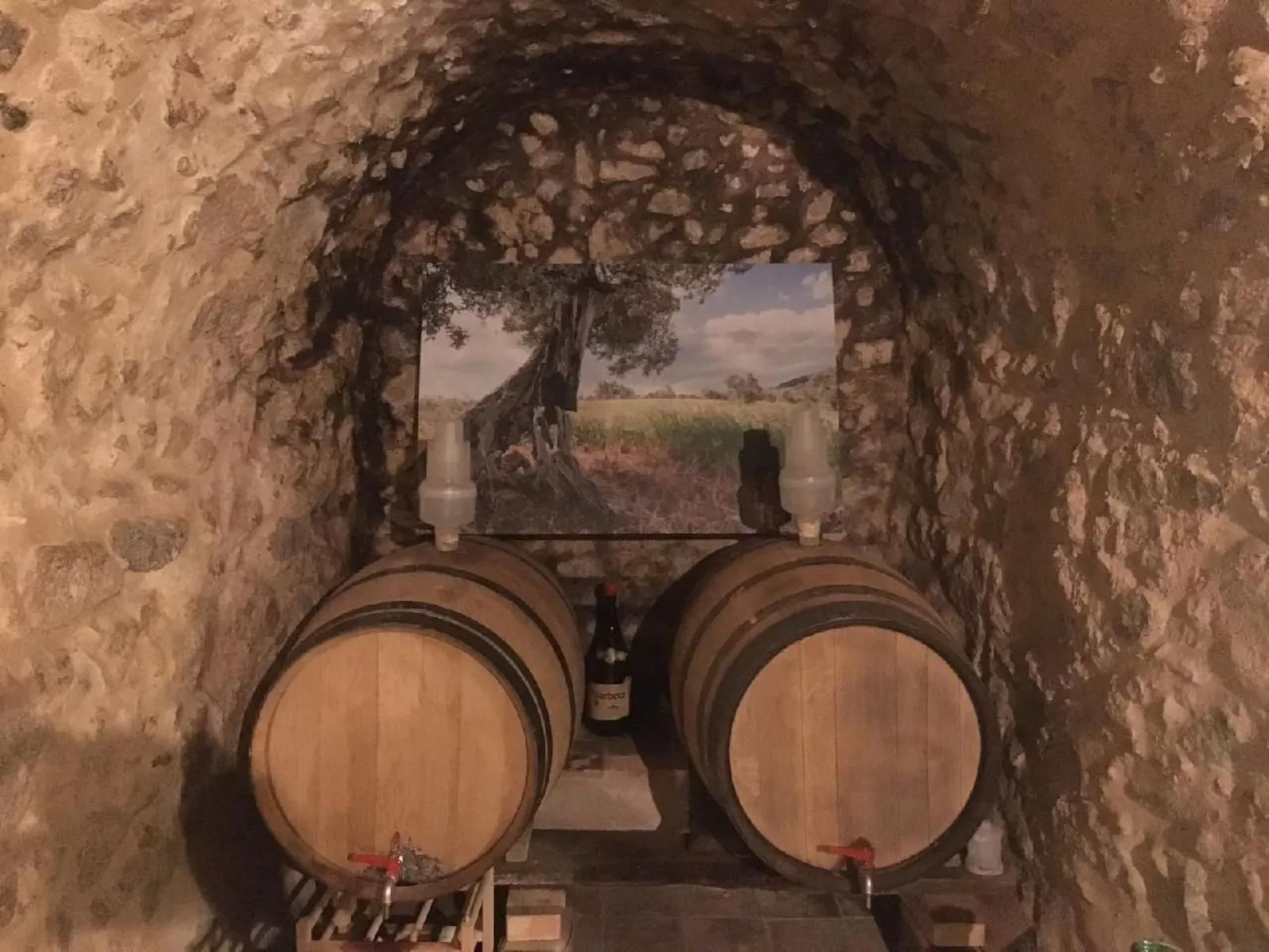 Großes Studio mit Terrasse mit Meerblick-Draußen