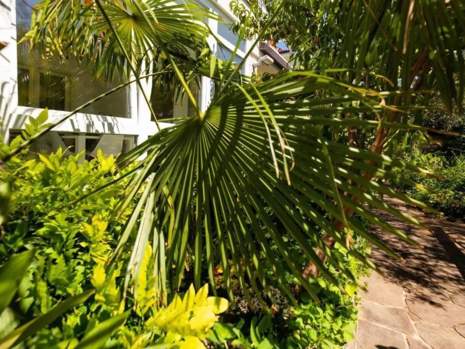 Wohnung in Lucija mit Garten-Draußen