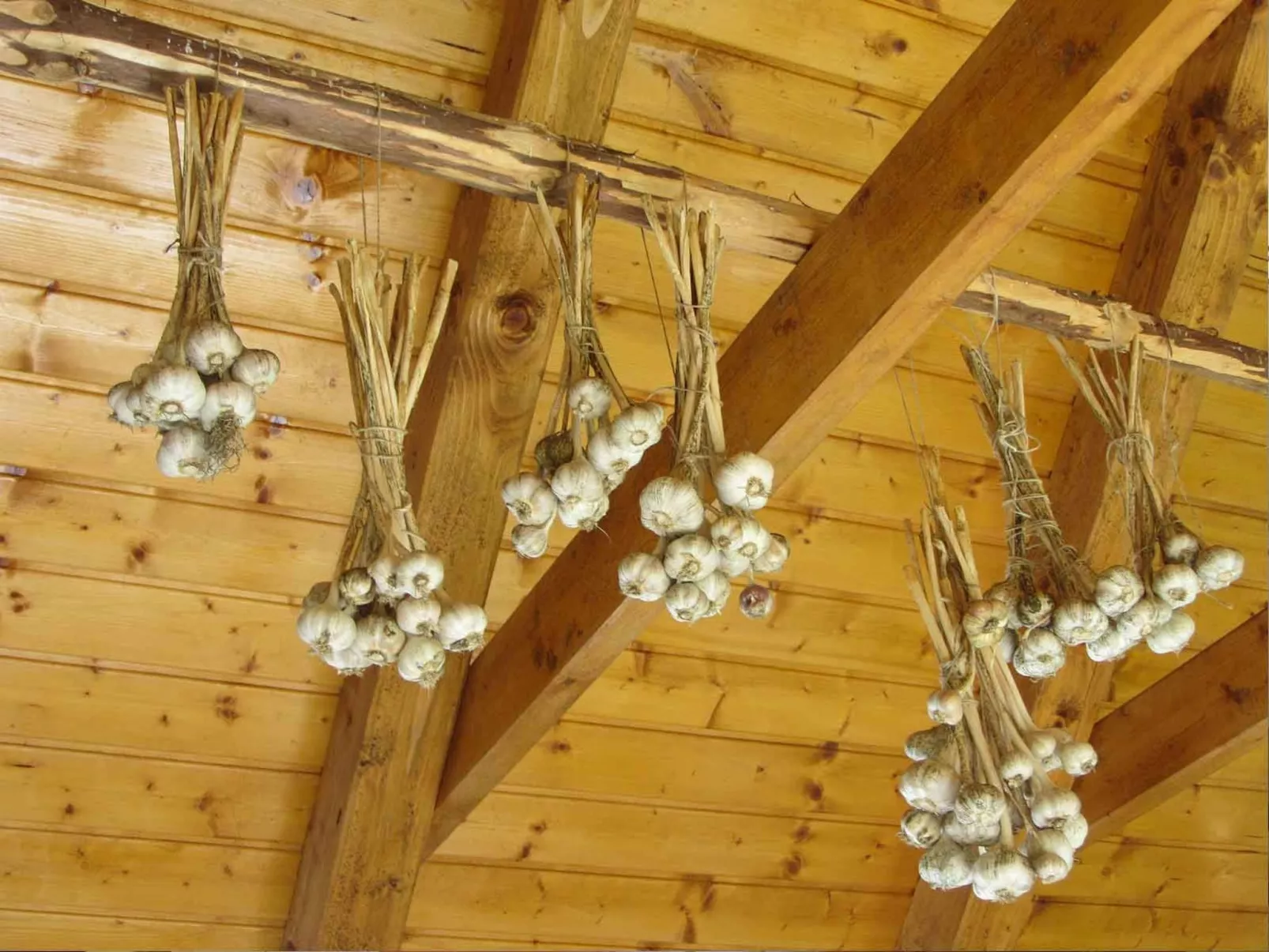 Geräumiges Ferienhaus inmitten der Natur-Drinnen