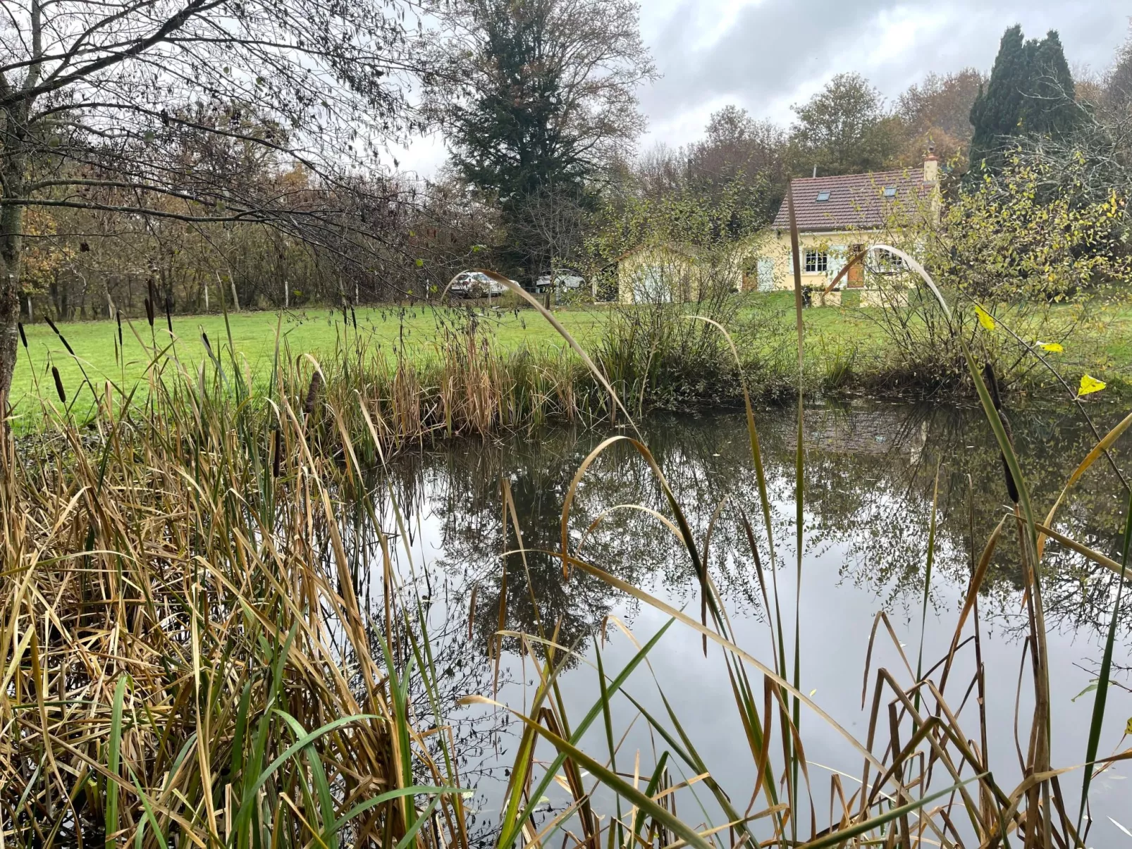 Für 6 Pers. mit eigenem Teich-Inside