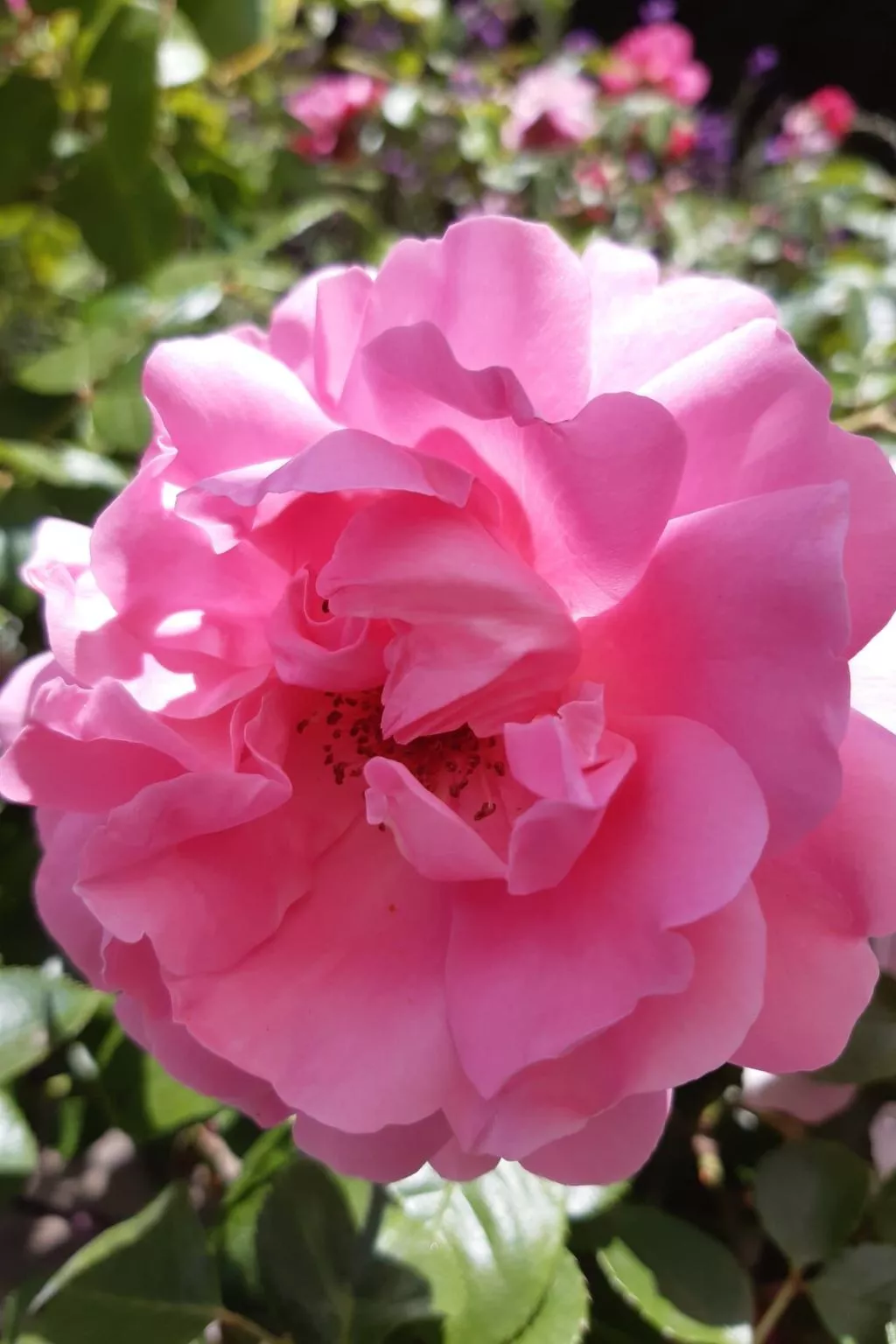 Finca "Motje" mit Aussicht-Draußen