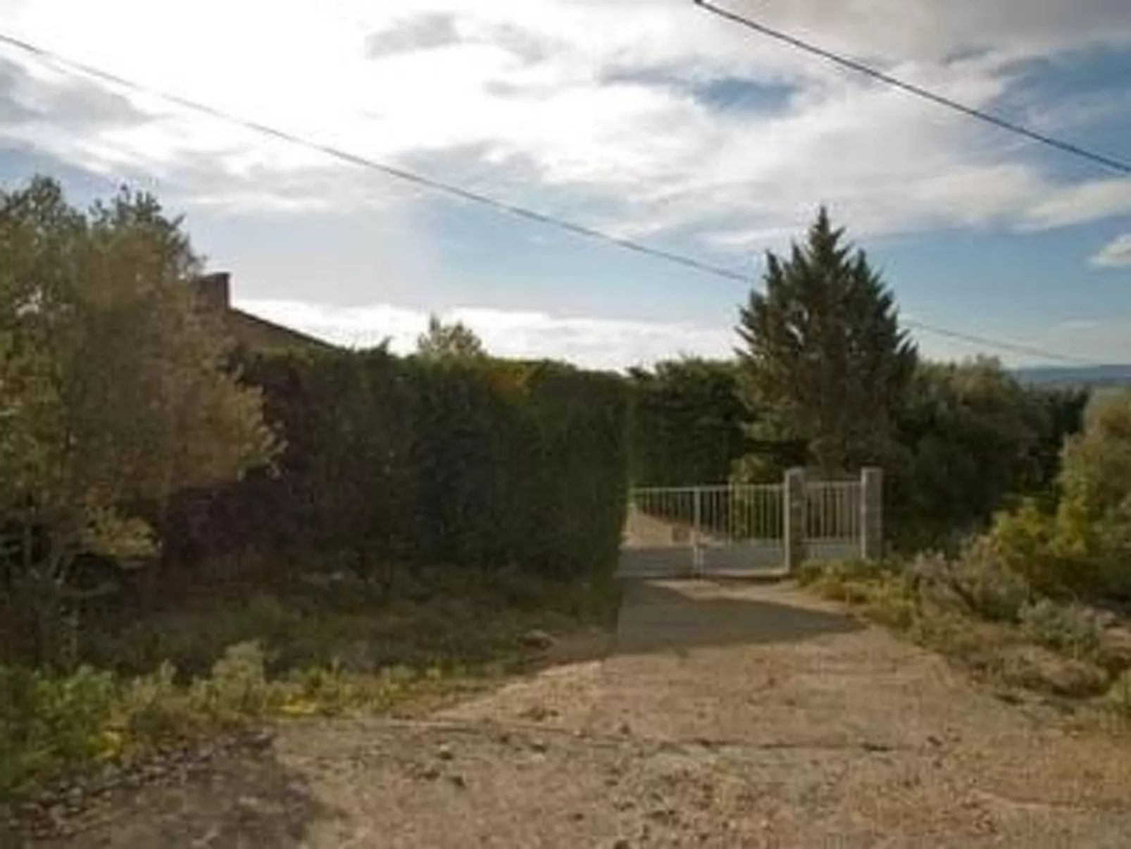 Die kleine Zikade-Dehors