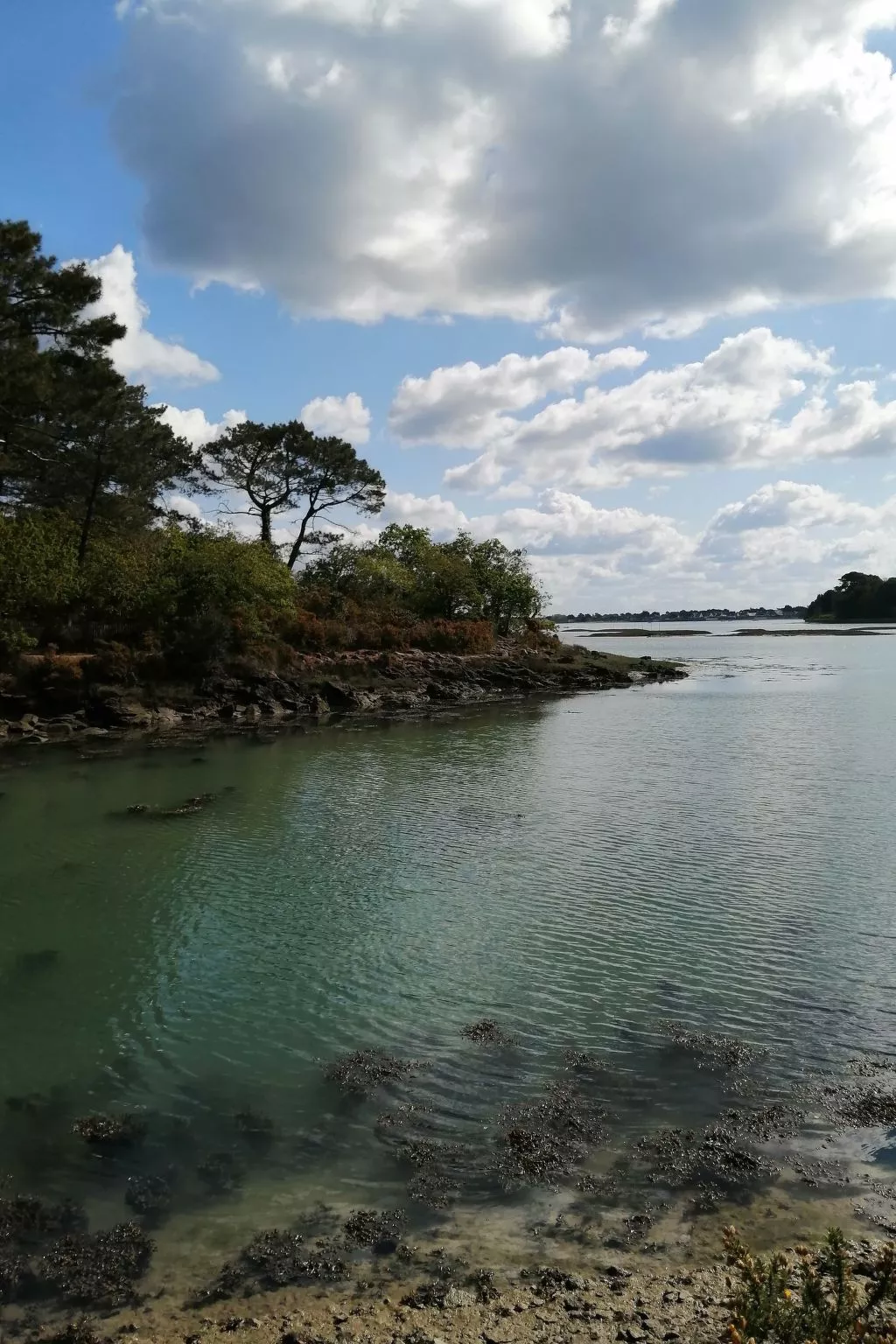 Bretagne Loctudy Haus Les Camélias 3 Personen-Outside
