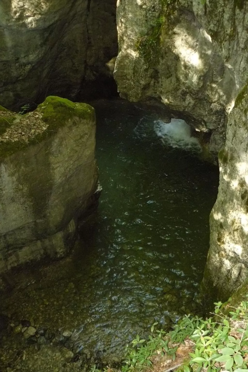 "Au Crêt du Bois" (Auf dem Wald)-Draußen
