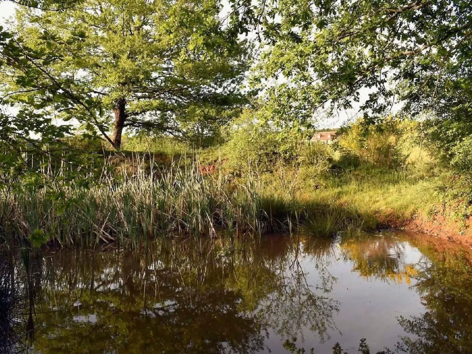 Domäne "Domaine de Ravel"-Draußen