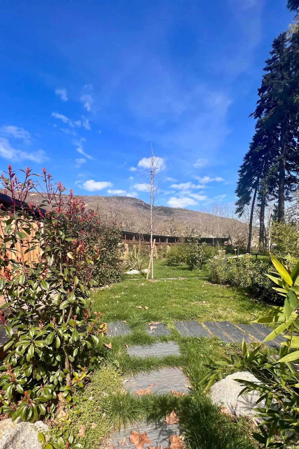 Ecolodge 4 pers mit Spa-Draußen