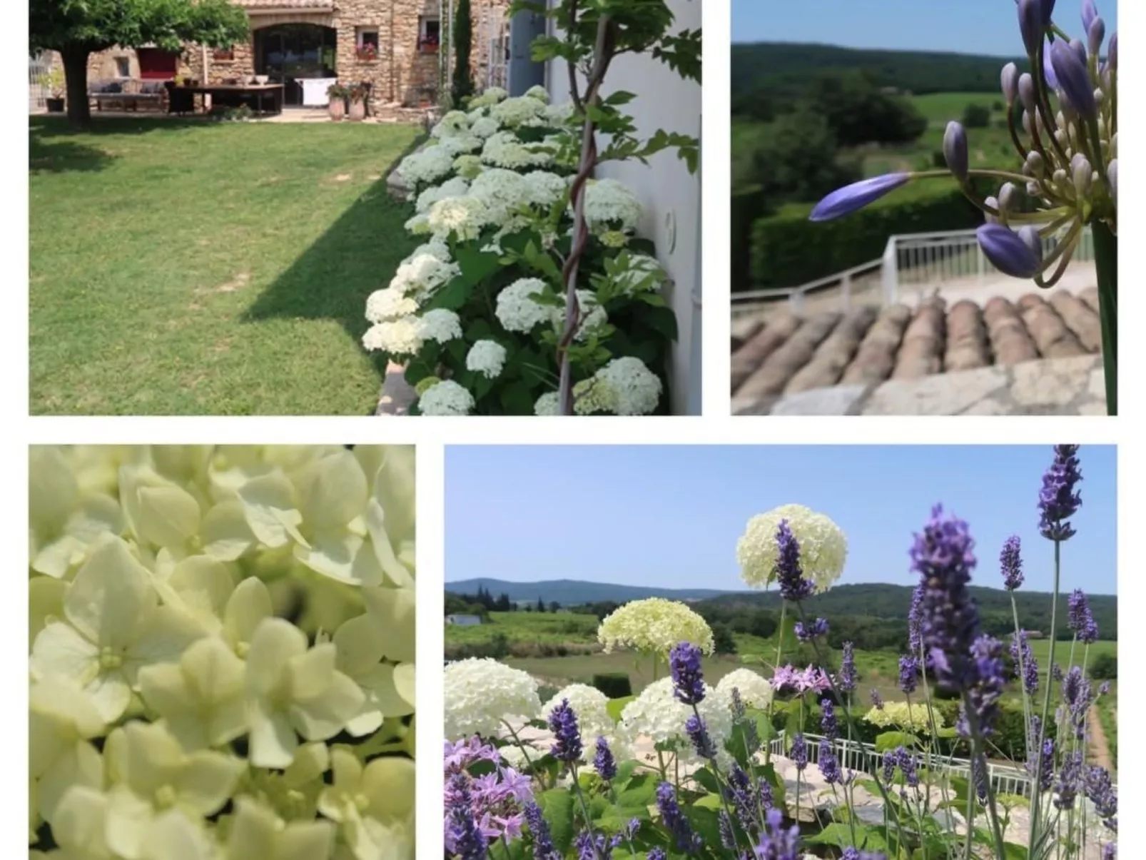 Lebensfreude-Draußen