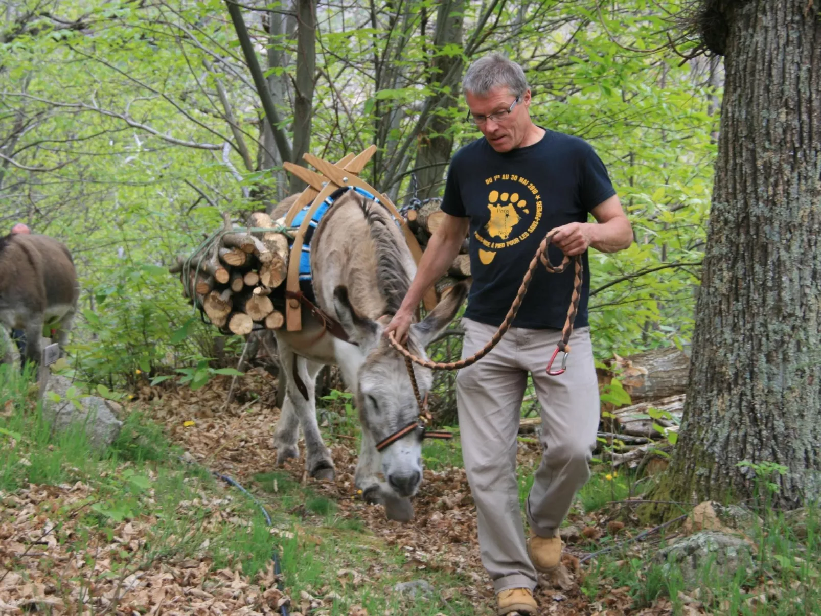 Gîte de Chapelèche Les Châtaigniers für 7 Pers.-Image-tags.info