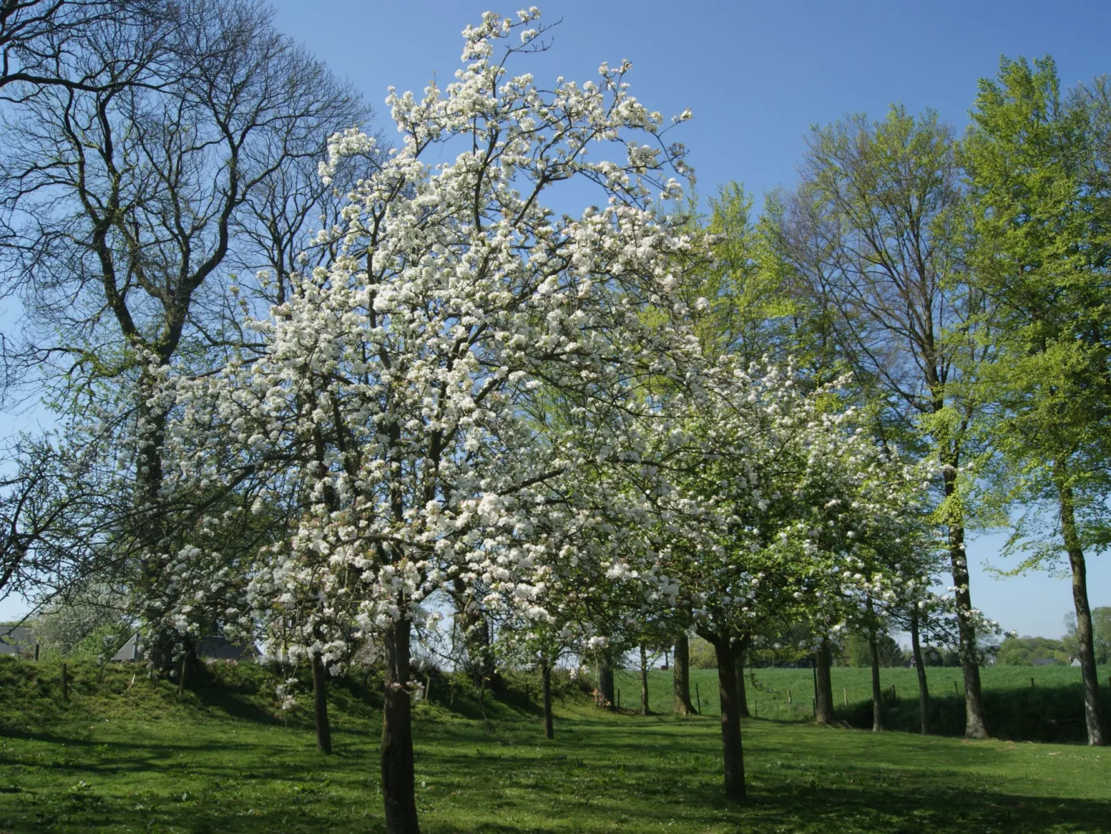 Charmante normannische Ferienwohnung Les chataigniers 2 Zimmer-Outside