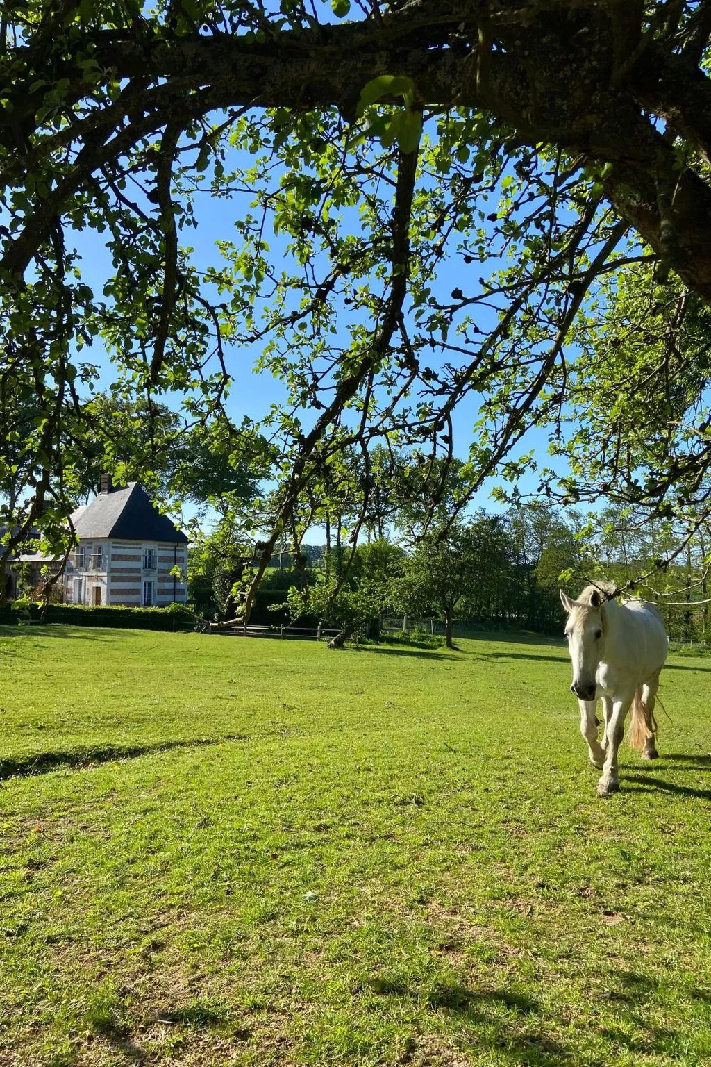 Neues normannisches Ferienhaus mit Charme die Kastanienbäume-Outside