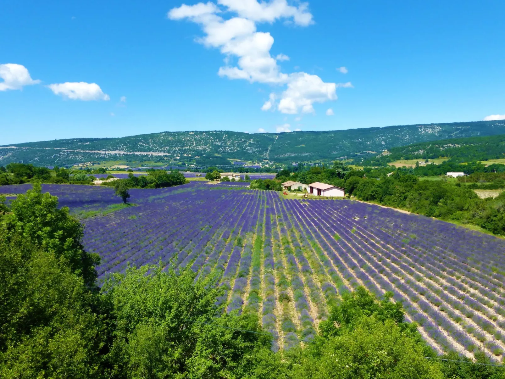 Provenzalisches Haus mit Pool und Garten-Outside