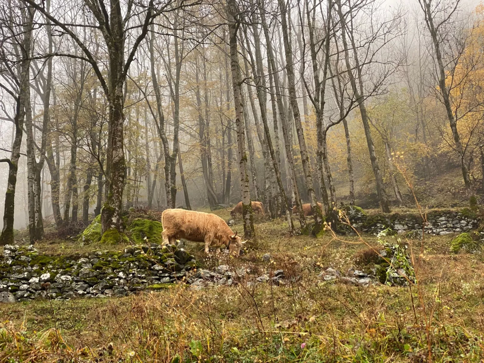 Casa Isabella-Draußen