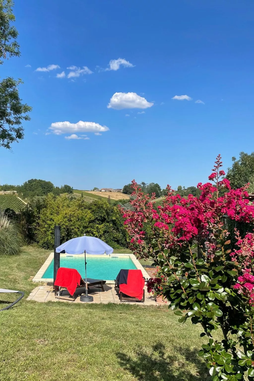 Pujols Petite-Outside