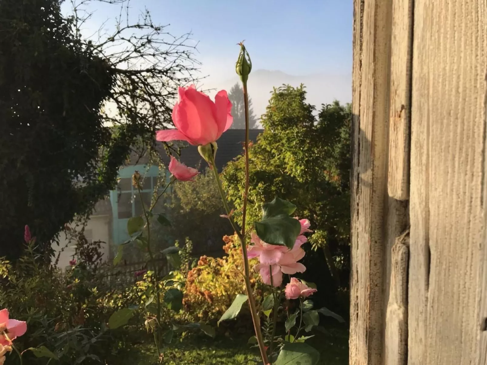 Altes Schulhaus-Outside