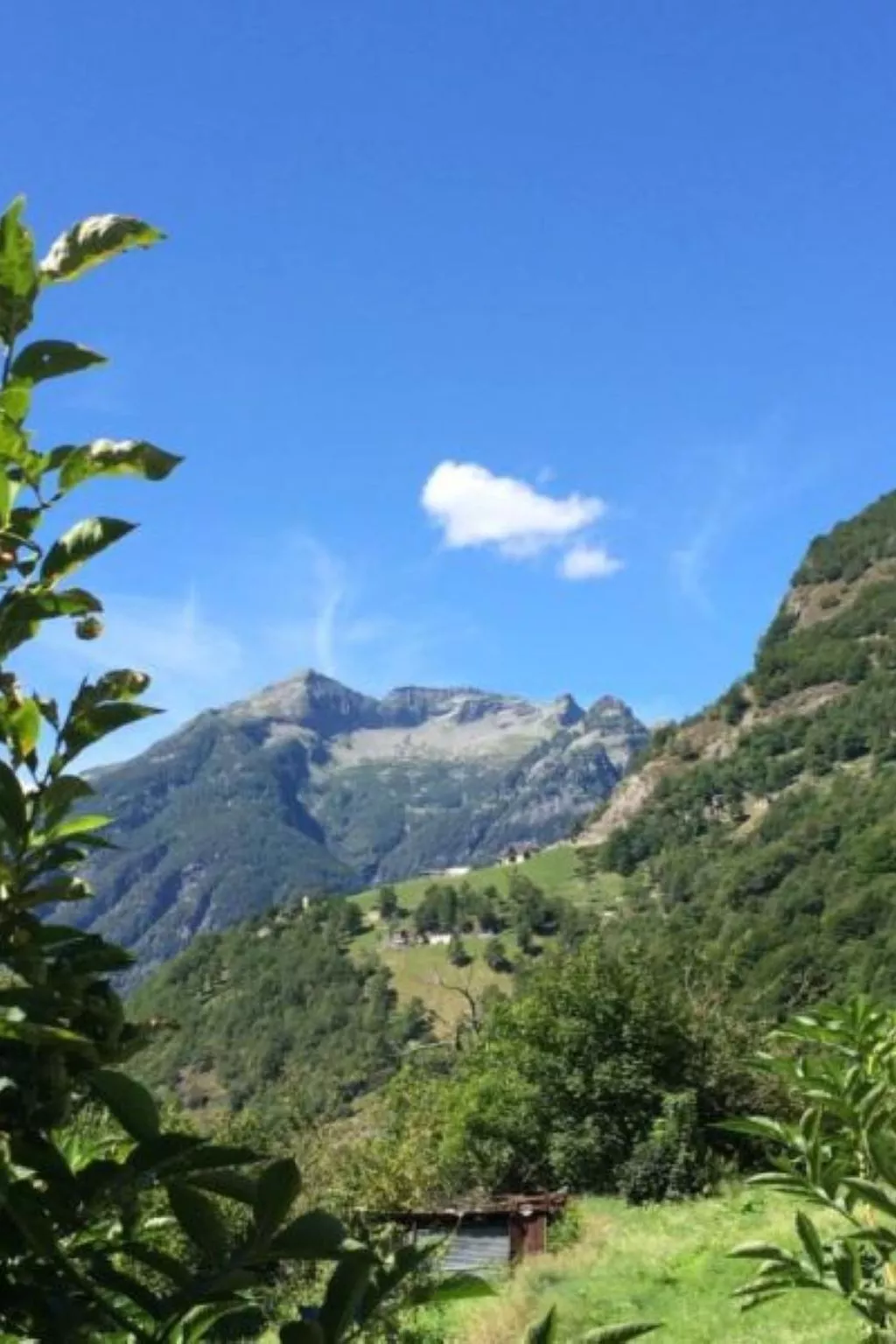 Weg von der Zuvielisation-Draußen