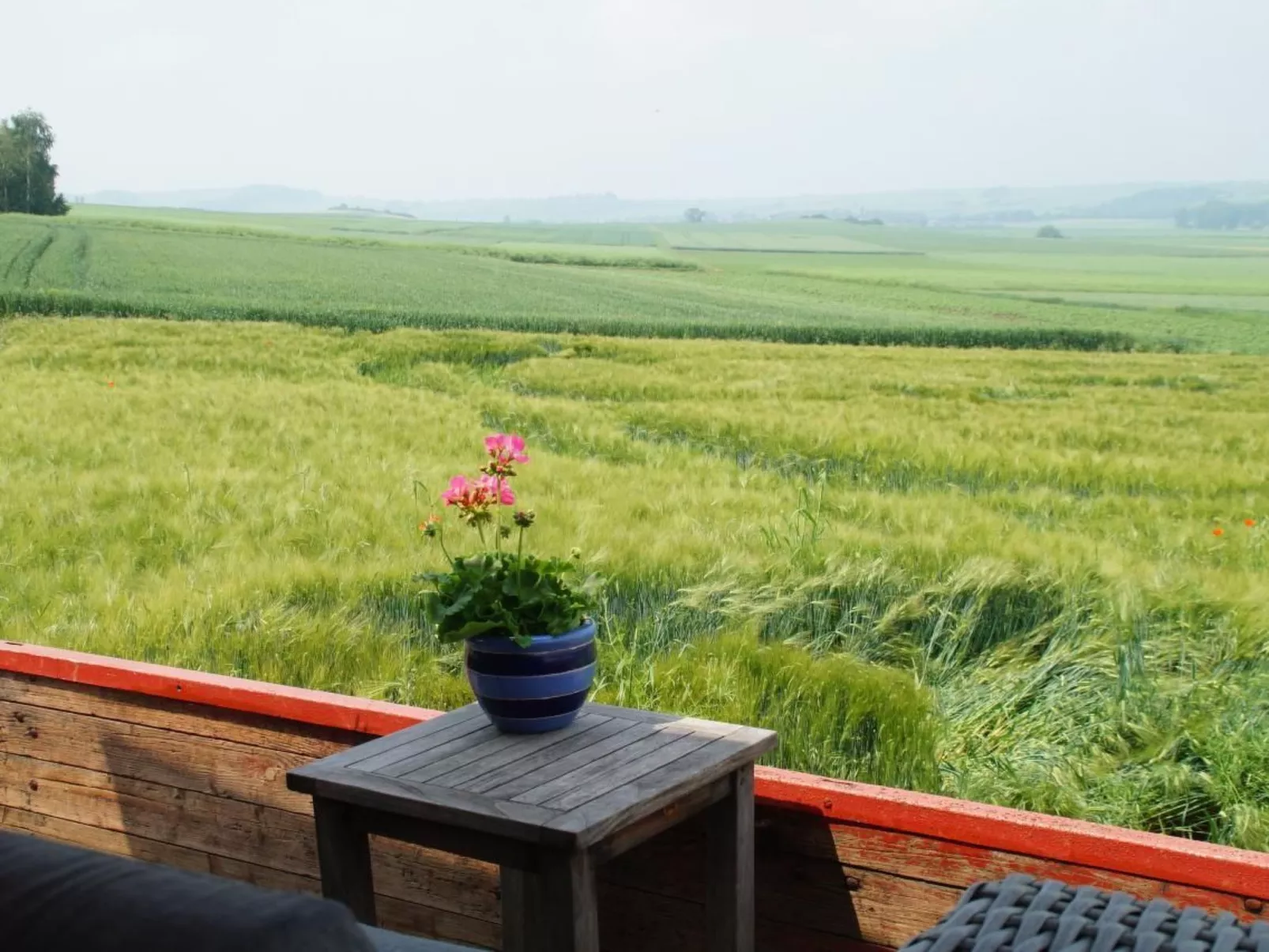 Wellness-Chalet-Dedans