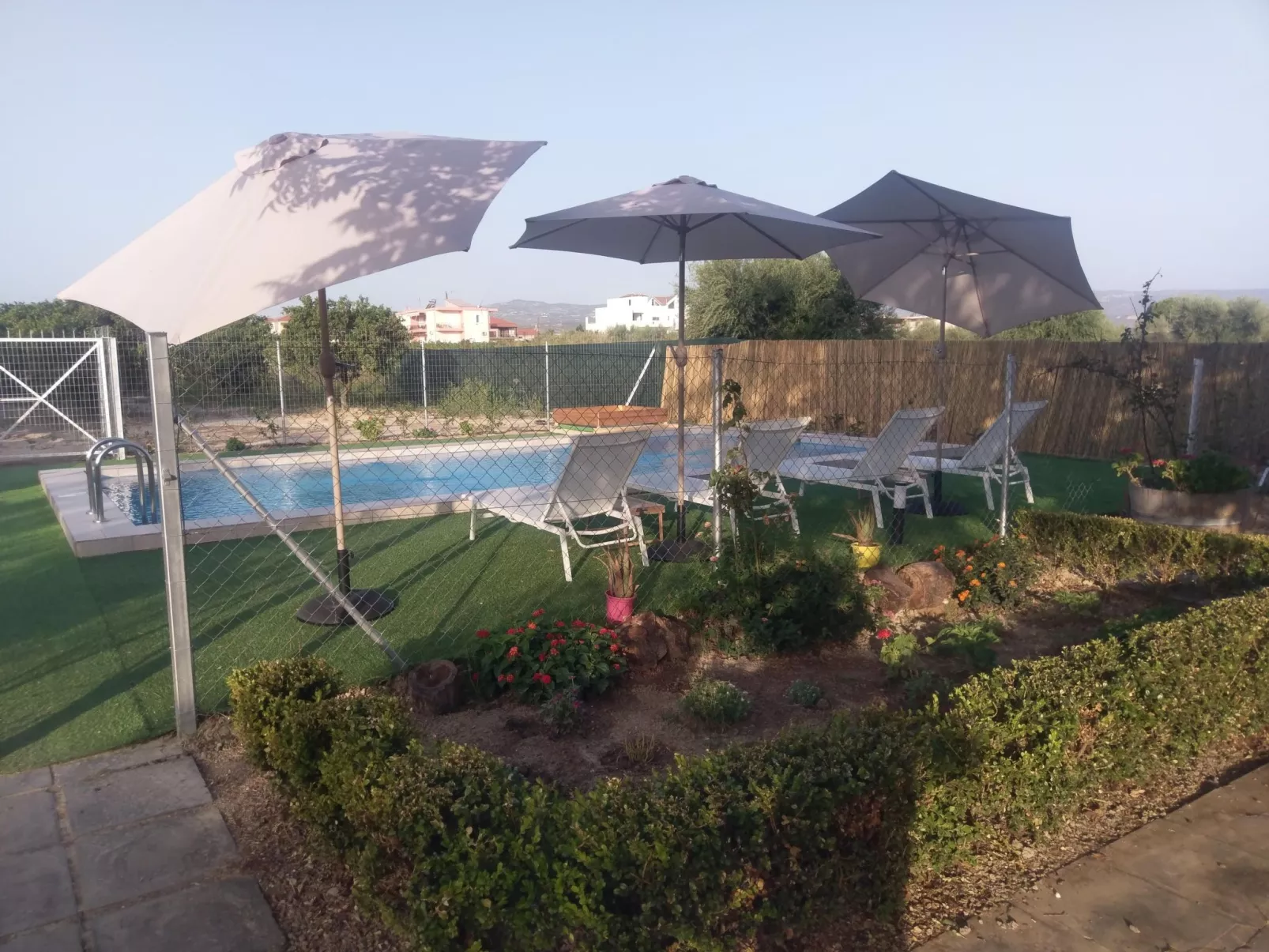 Neben Orangenbaum-Obstgarten-Inside