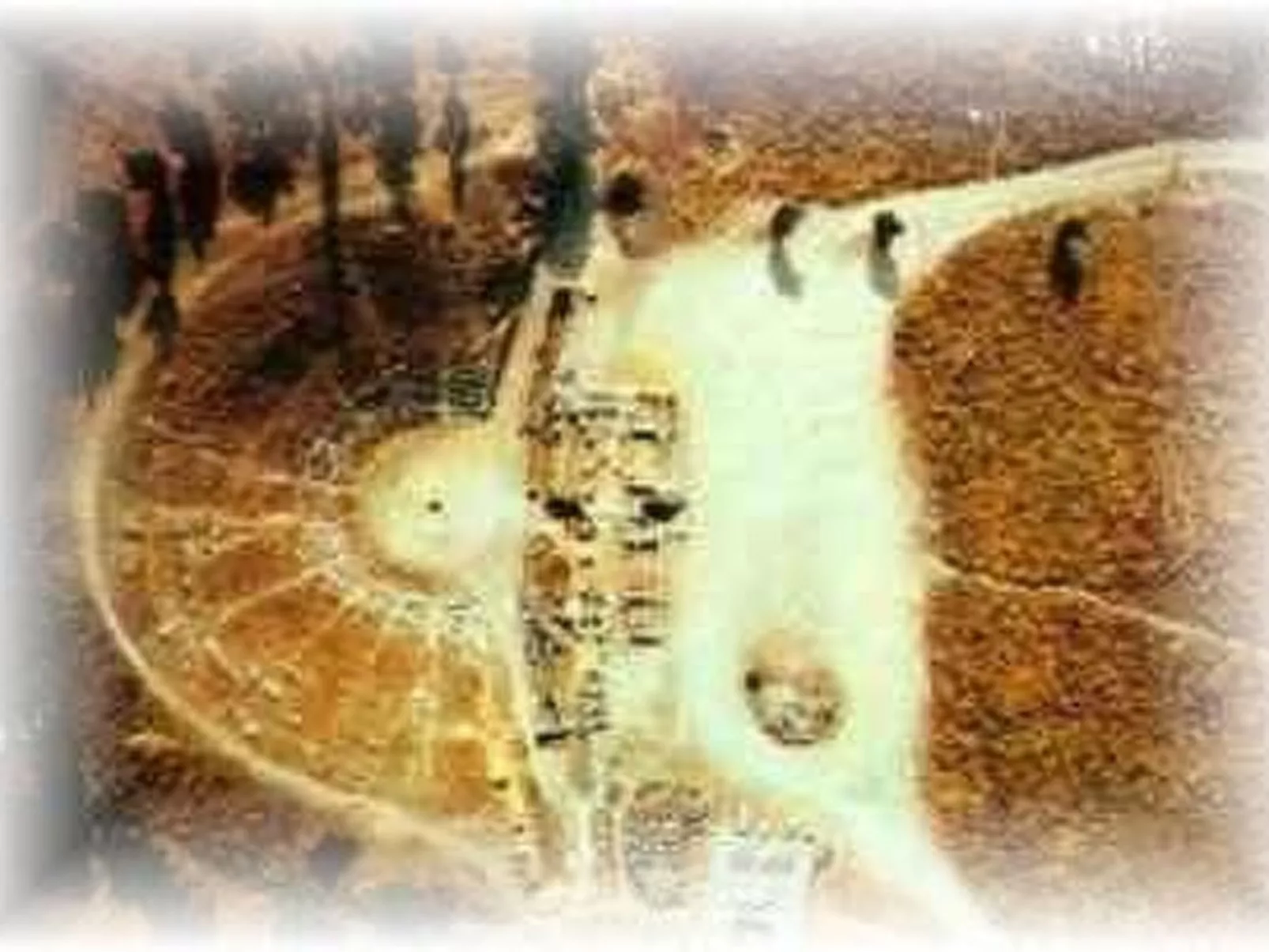 Studio mit Garten-Image-tags.info