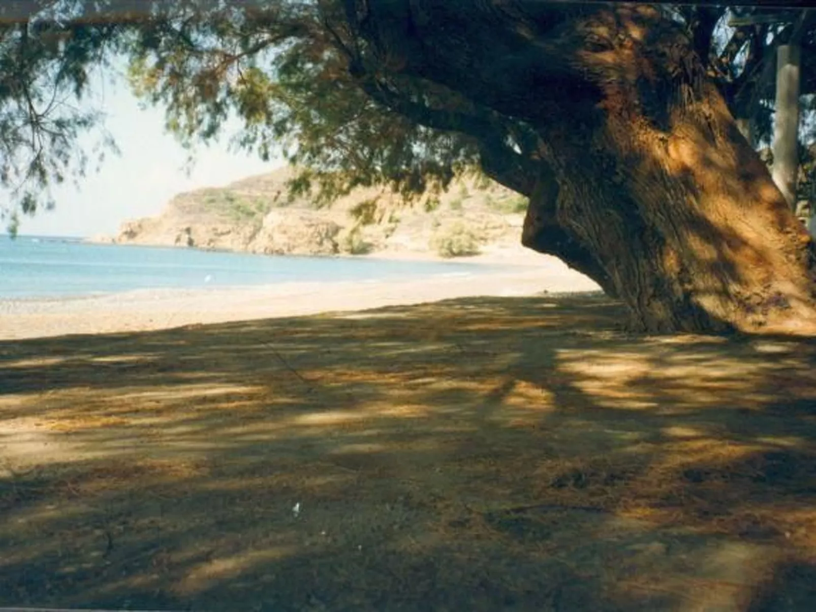Spiti Limnos, idyllisch gelegen im Orangenhain-Drinnen