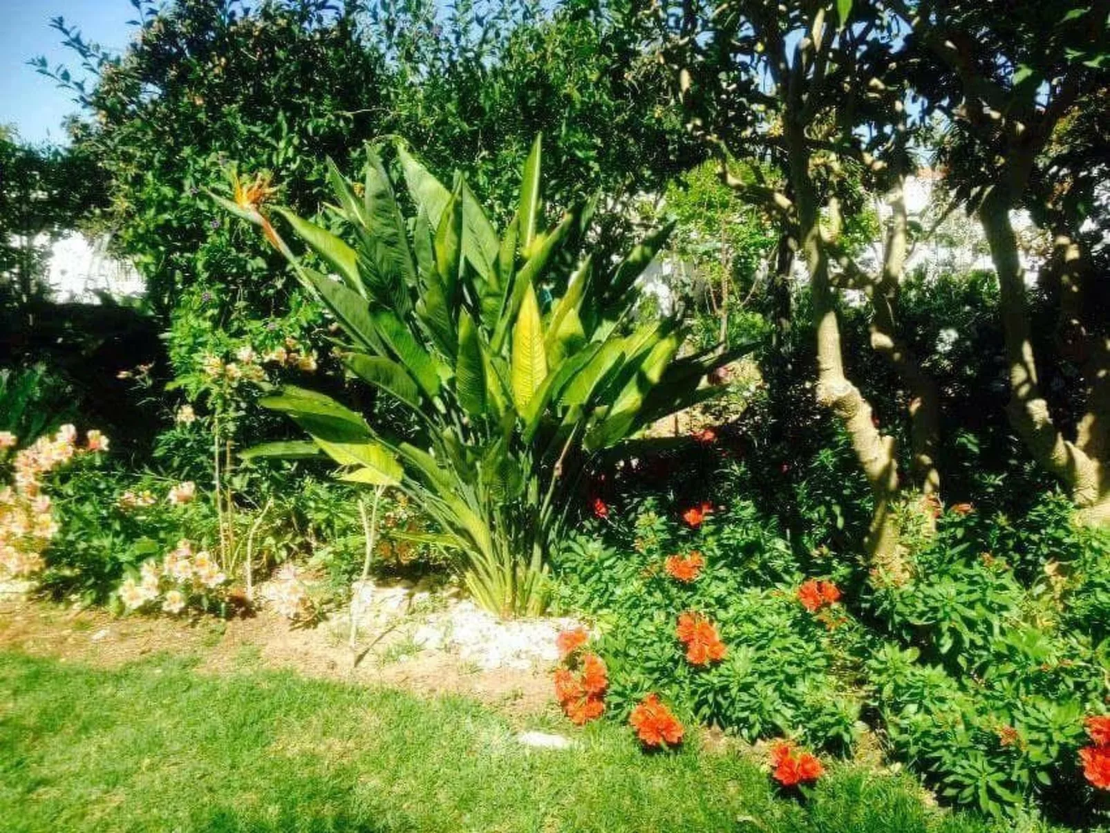 Für 4 Personen in Algoz, Algarve-Dehors