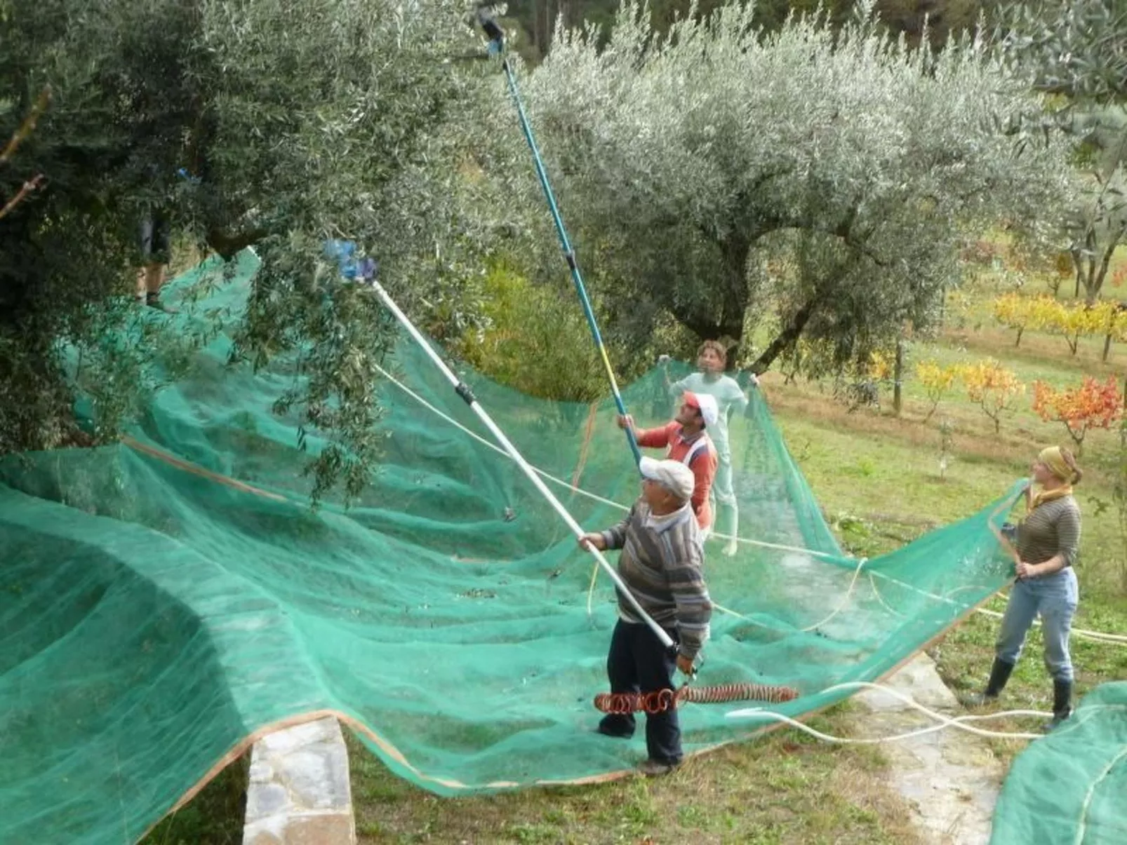 Mit Sonnenterrasse und großem Garten-Draußen