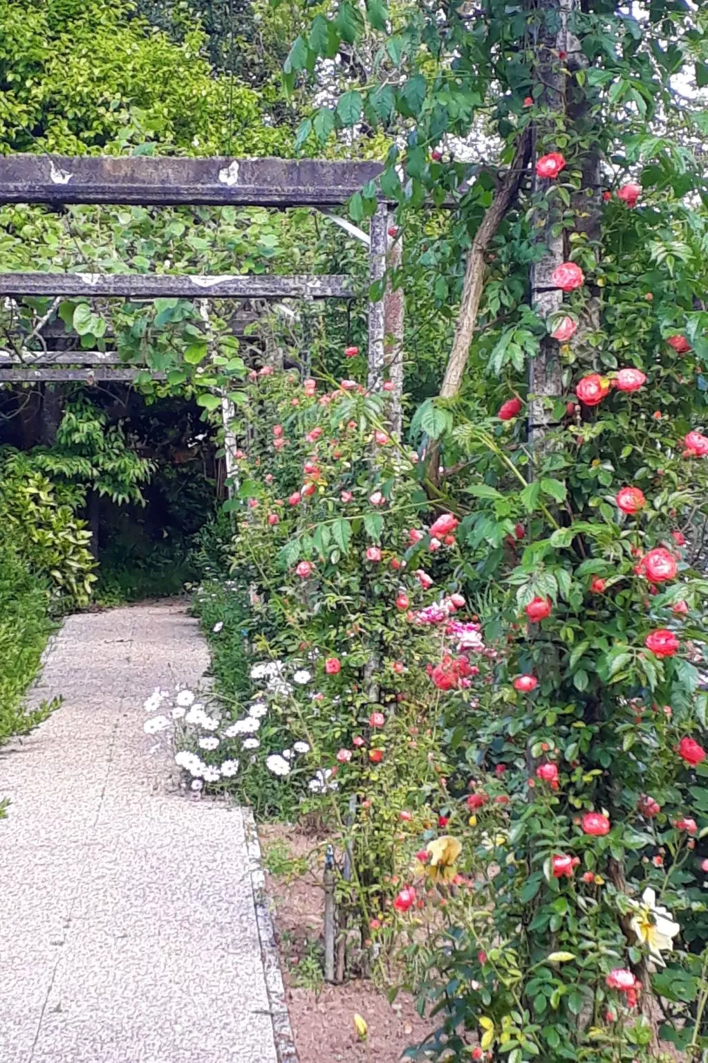 Quinta D'Avó Amélia, wunderschönes Landhaus zwischen den Bergen und dem Meer-Draußen