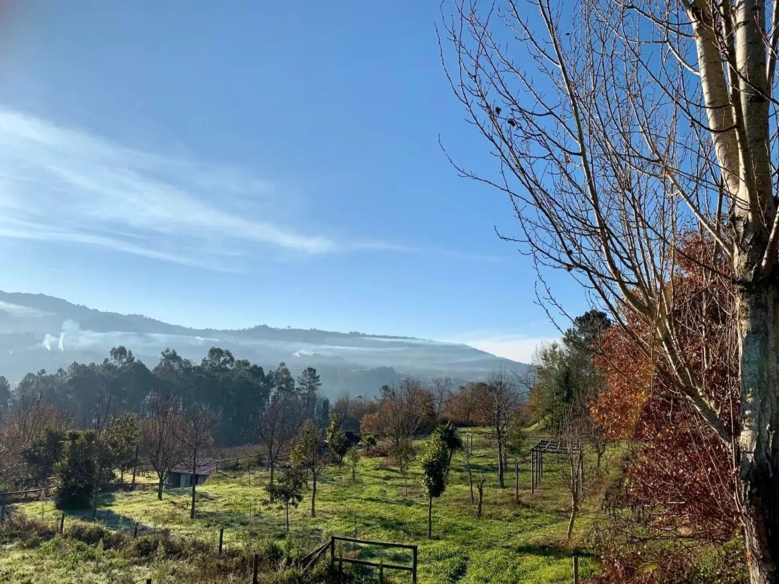 Mit Blick auf das Wasser-Dehors