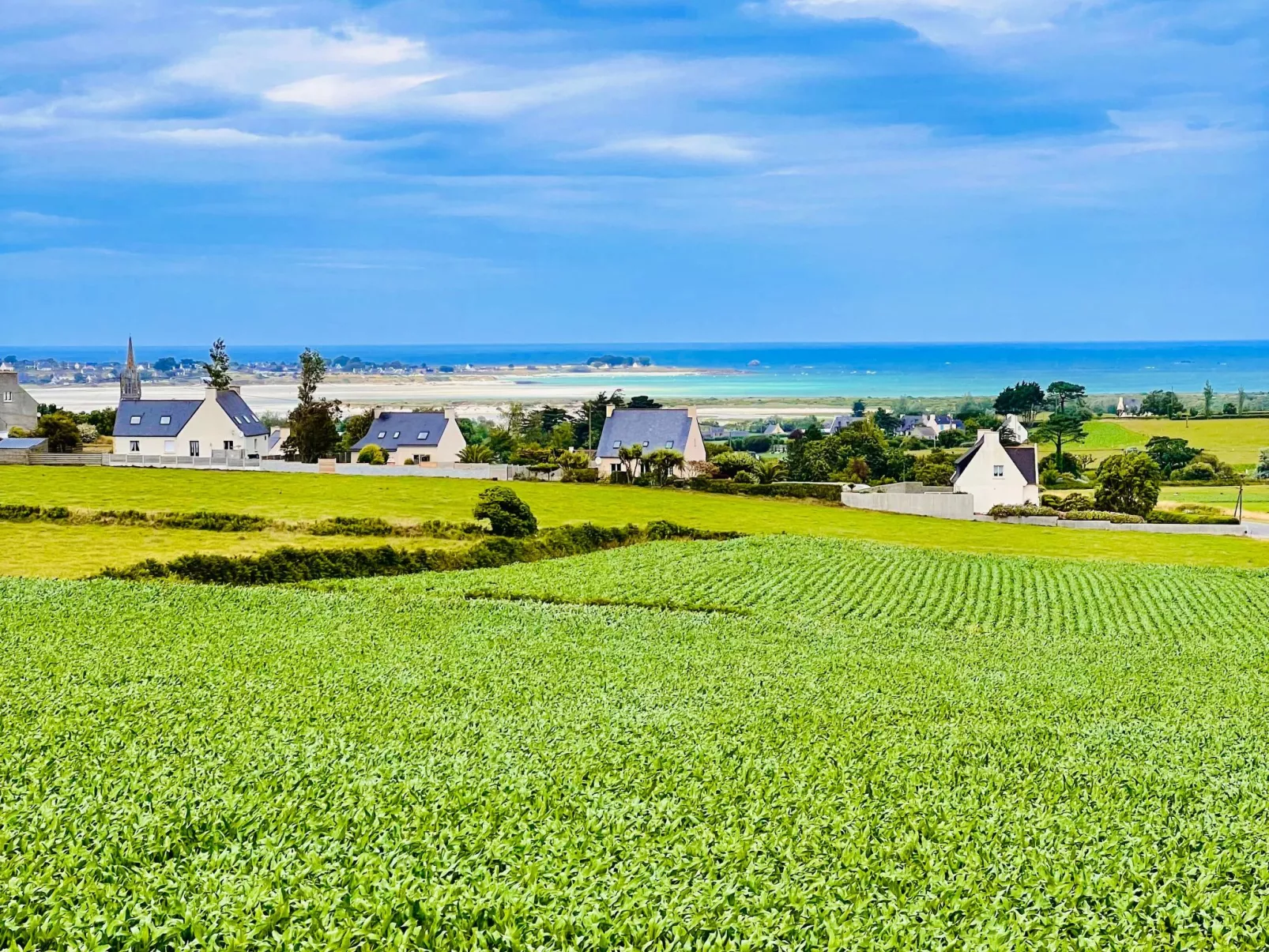 Villa Bellevue-Draußen