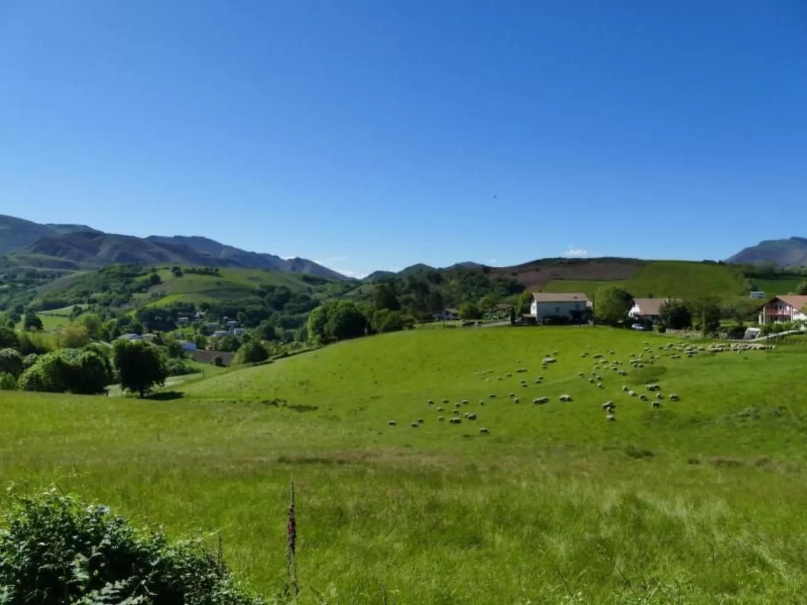 BAIGURA-Image-tags.info