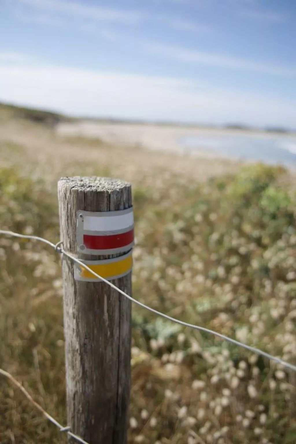 Ferienhaus Ty Nina Rosa, haustiere erlaubt-Dedans