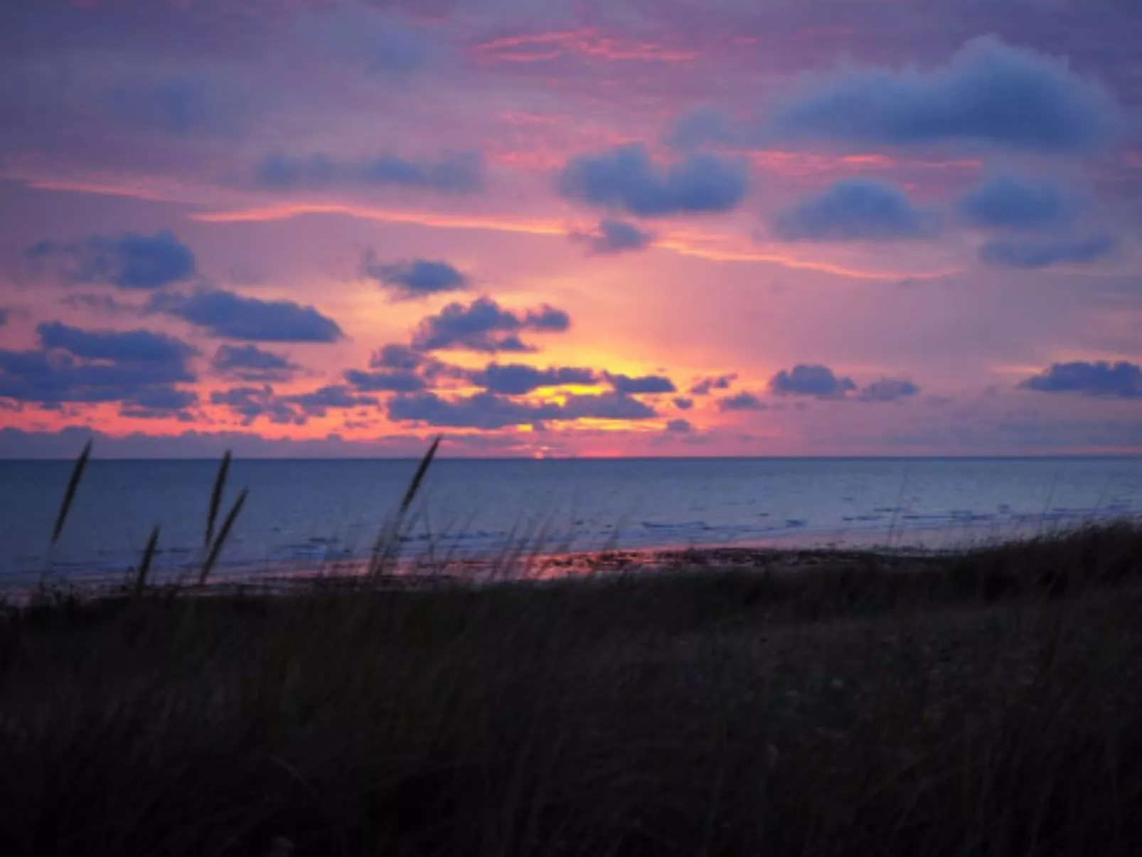 Le Bois aux Ecureuils (Eichhörnchenwald)-Drinnen