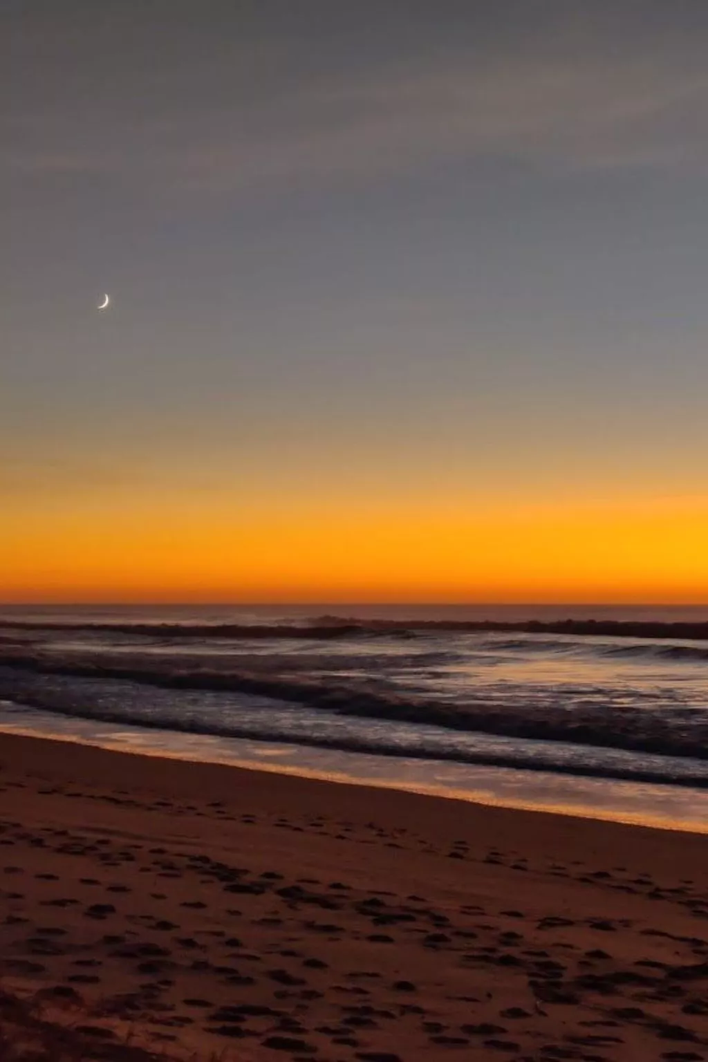 Villa Cocoon Contis-plage 1 chambre-Dehors