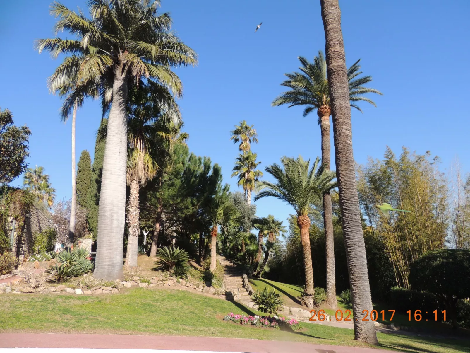 Studio Vue mer standing proche Cannes-Draußen