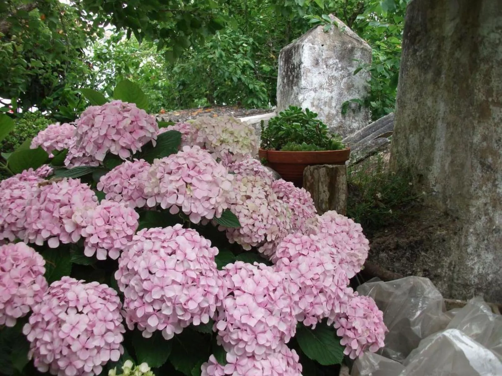 Historisches Haus in der Nähe des historischen Dorfes von Óbidos-Image-tags.info
