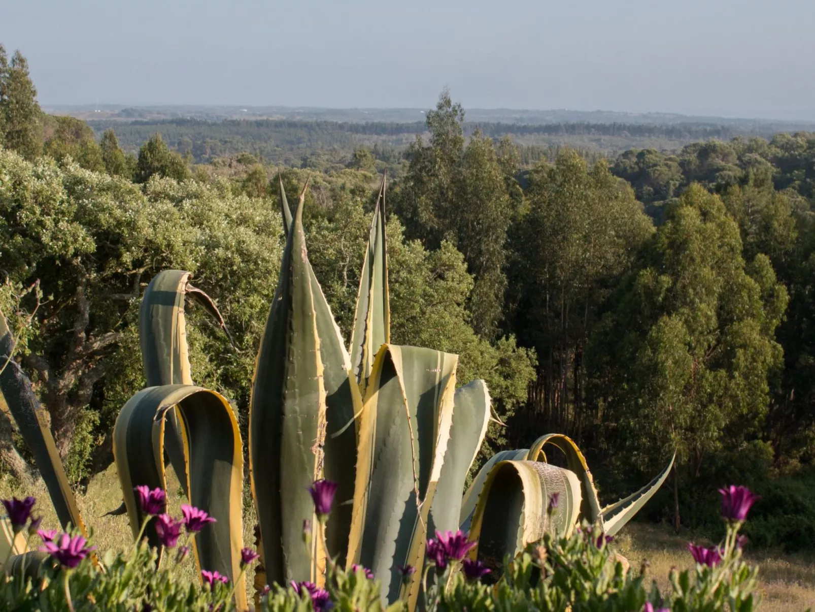 Monte Horizonte Casa Sobreiro Eco und Na-Dehors