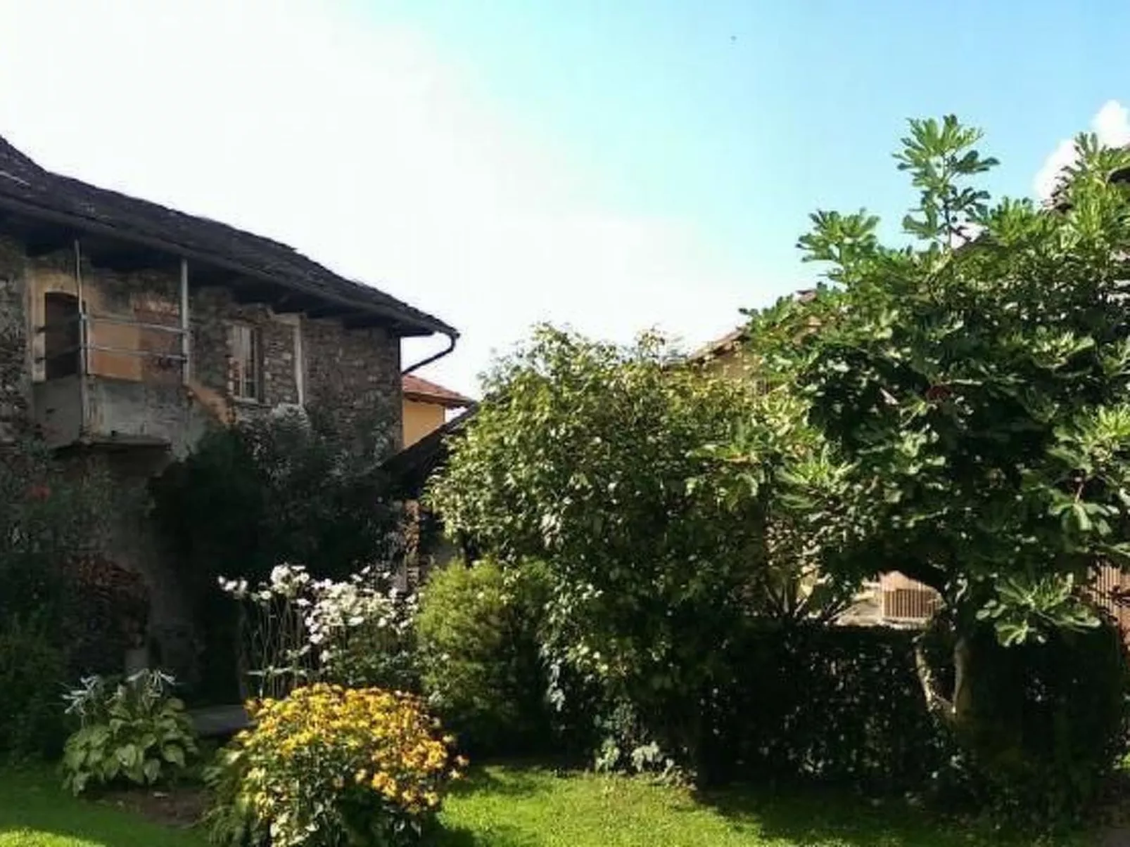 Corte delle Camelie - Wohnung im Erdgeschoss-Image-tags.info