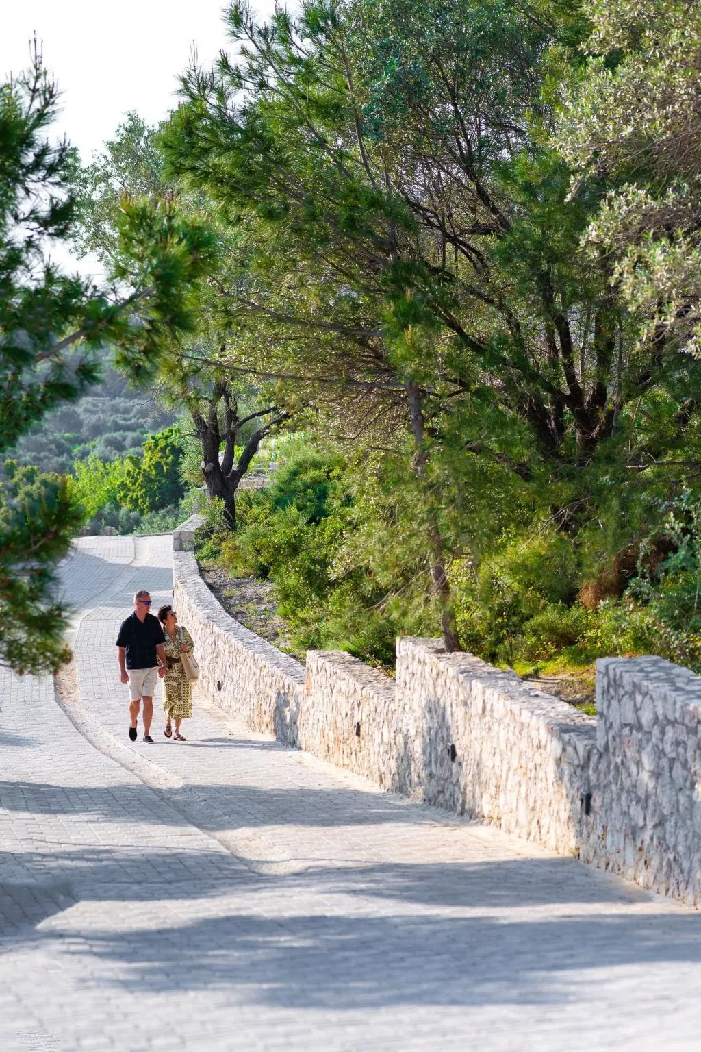 Massari Hills-Artes-Dehors