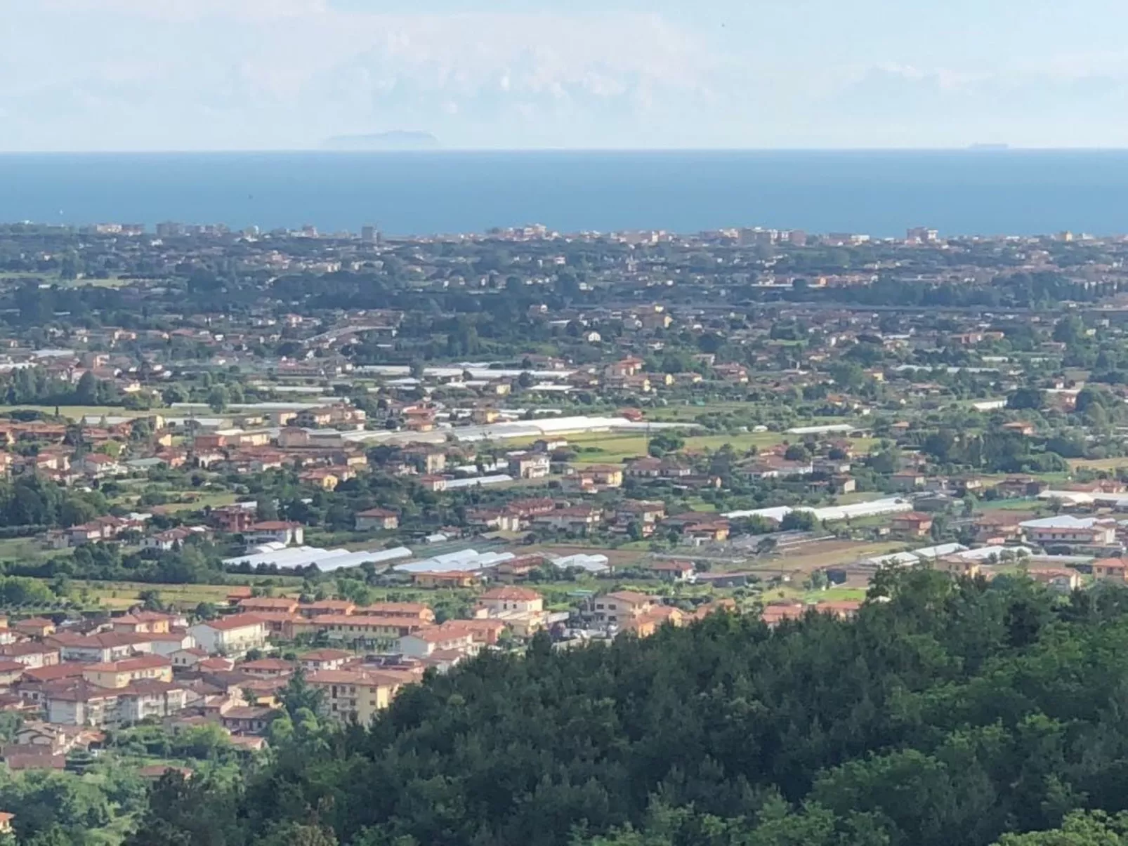 'Graceland' mit Garten und Terrasse-Outside