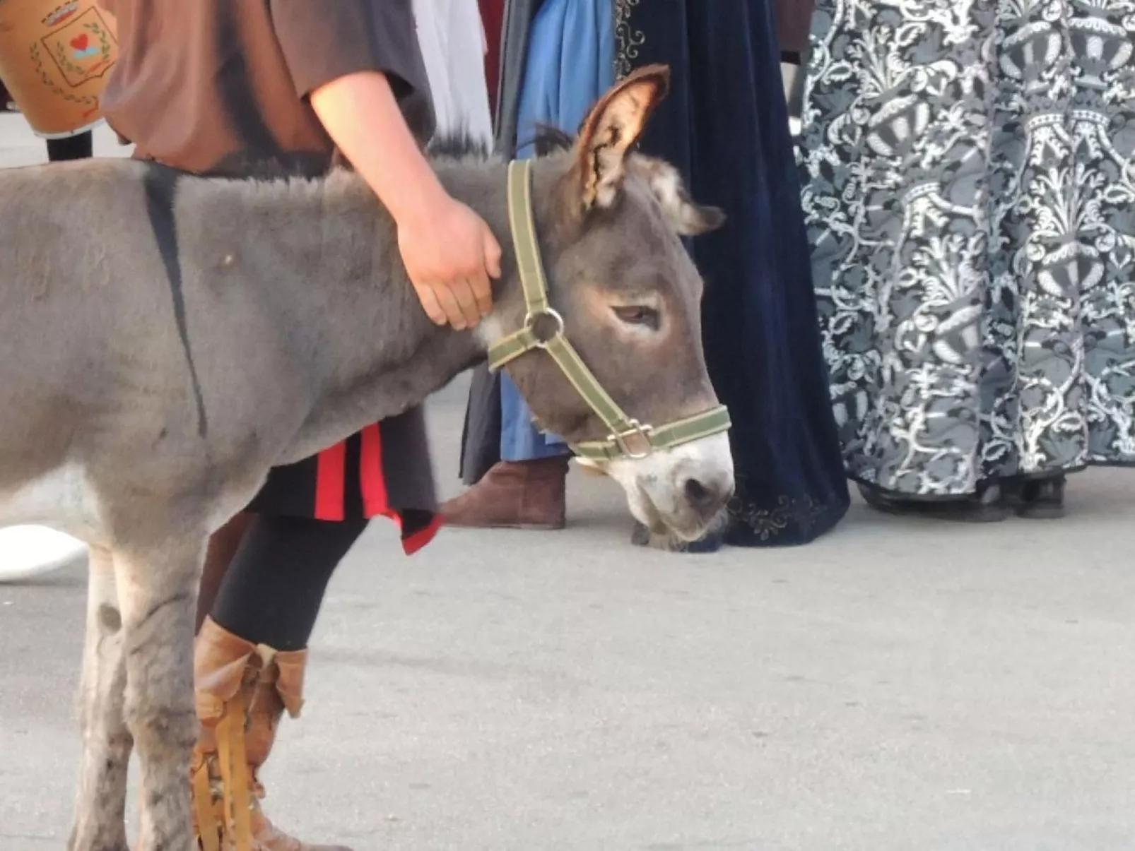 Melisa 4-Image-tags.info