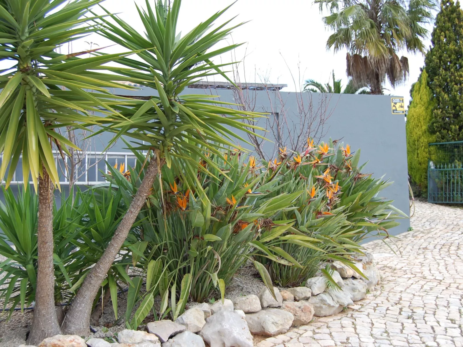 Villa Monte Alegrete-Image-tags.info