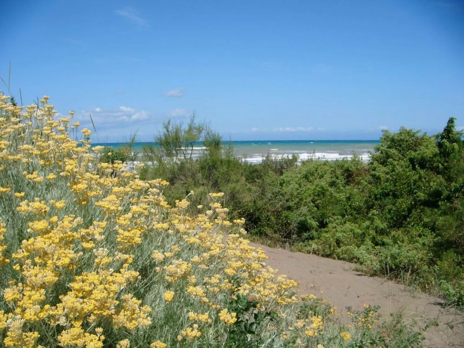 'Gardenia Eiche-Draußen