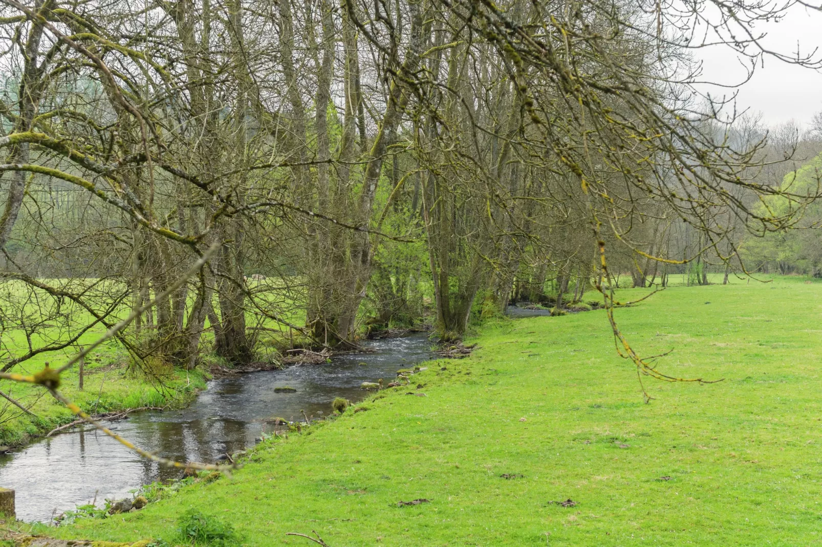 Le relais d'Orval-Areas summer 1km