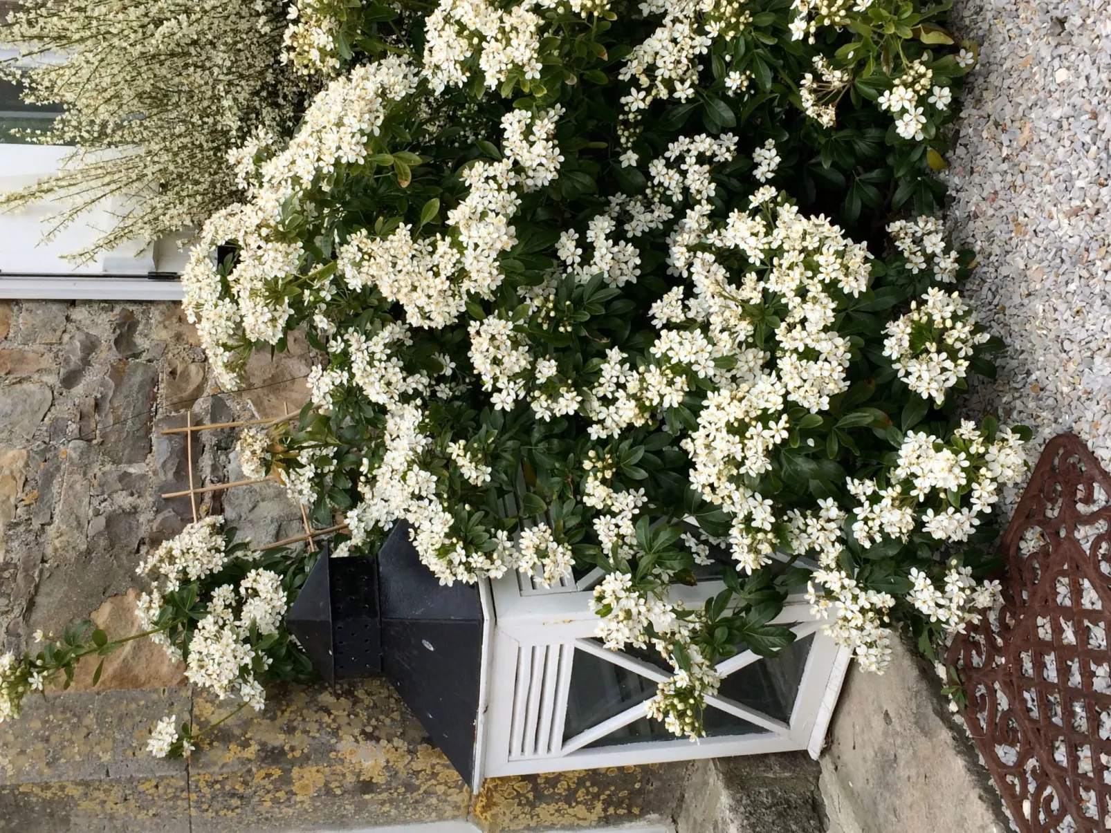 Charmantes Steinhaus in der Nähe des Meeres-Image-tags.info