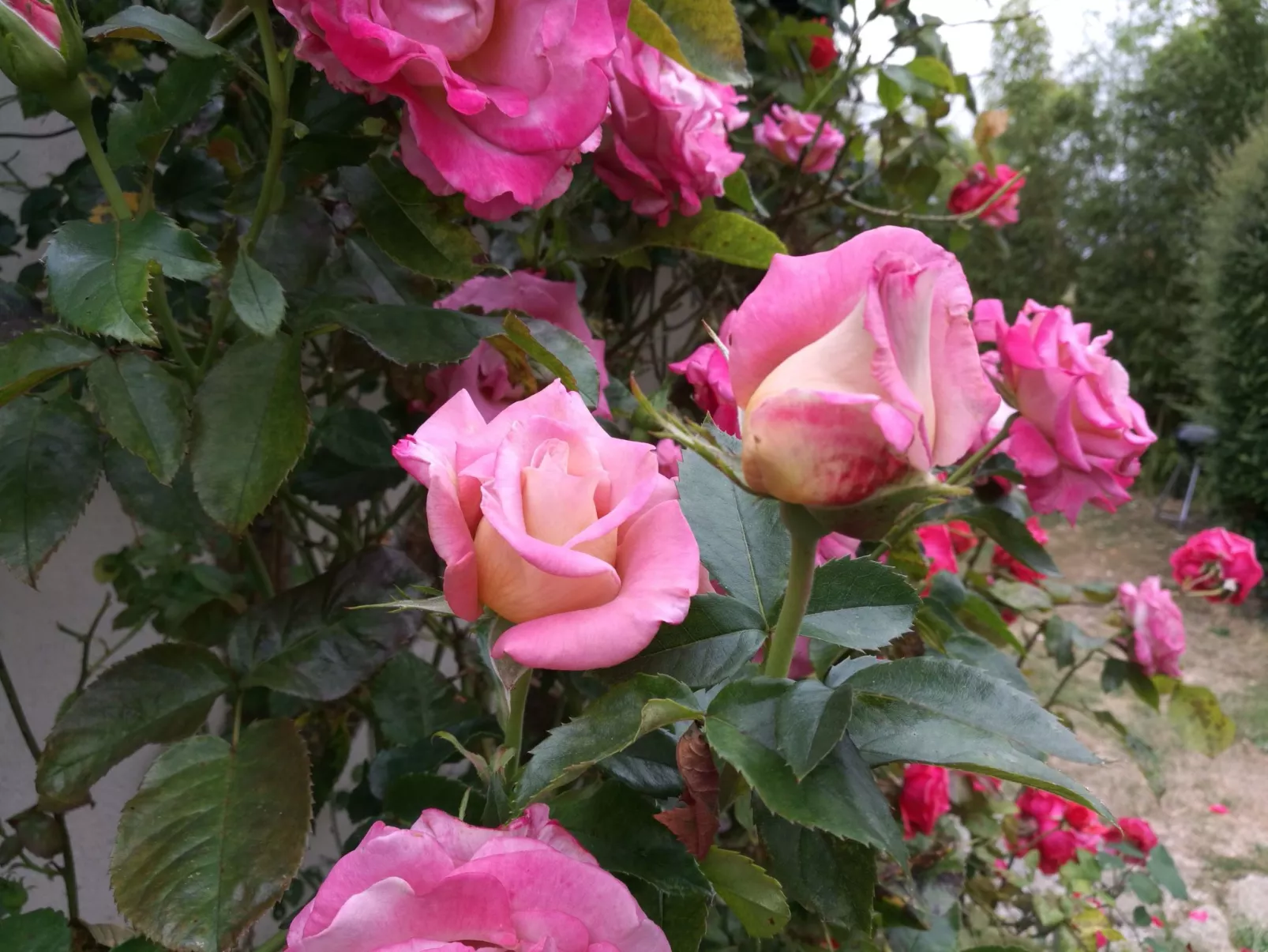 Fachwerkhaus "La Longère" Escapade Normande-Outside