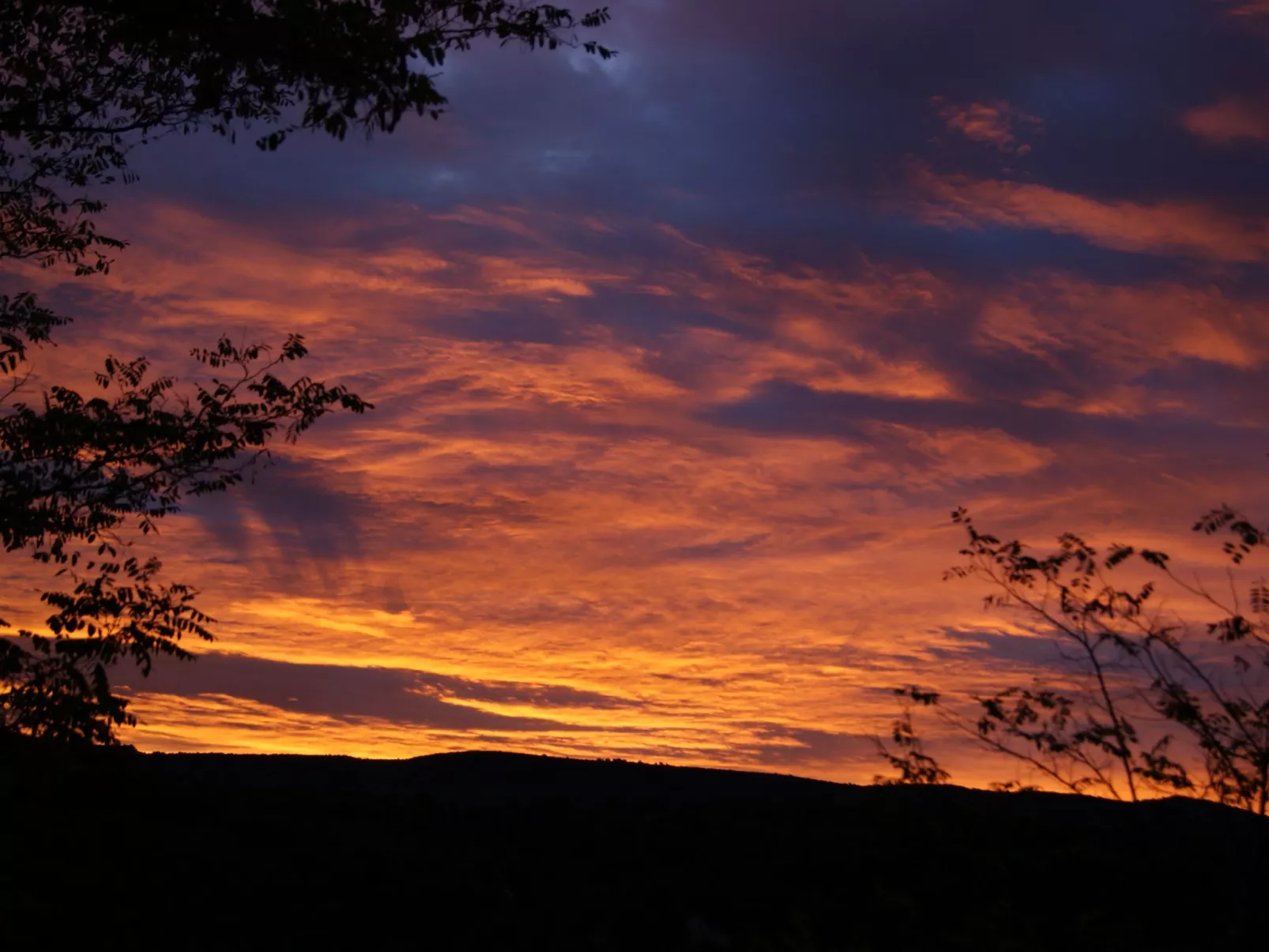La Ribelle en Provence - Lou recati-Dehors
